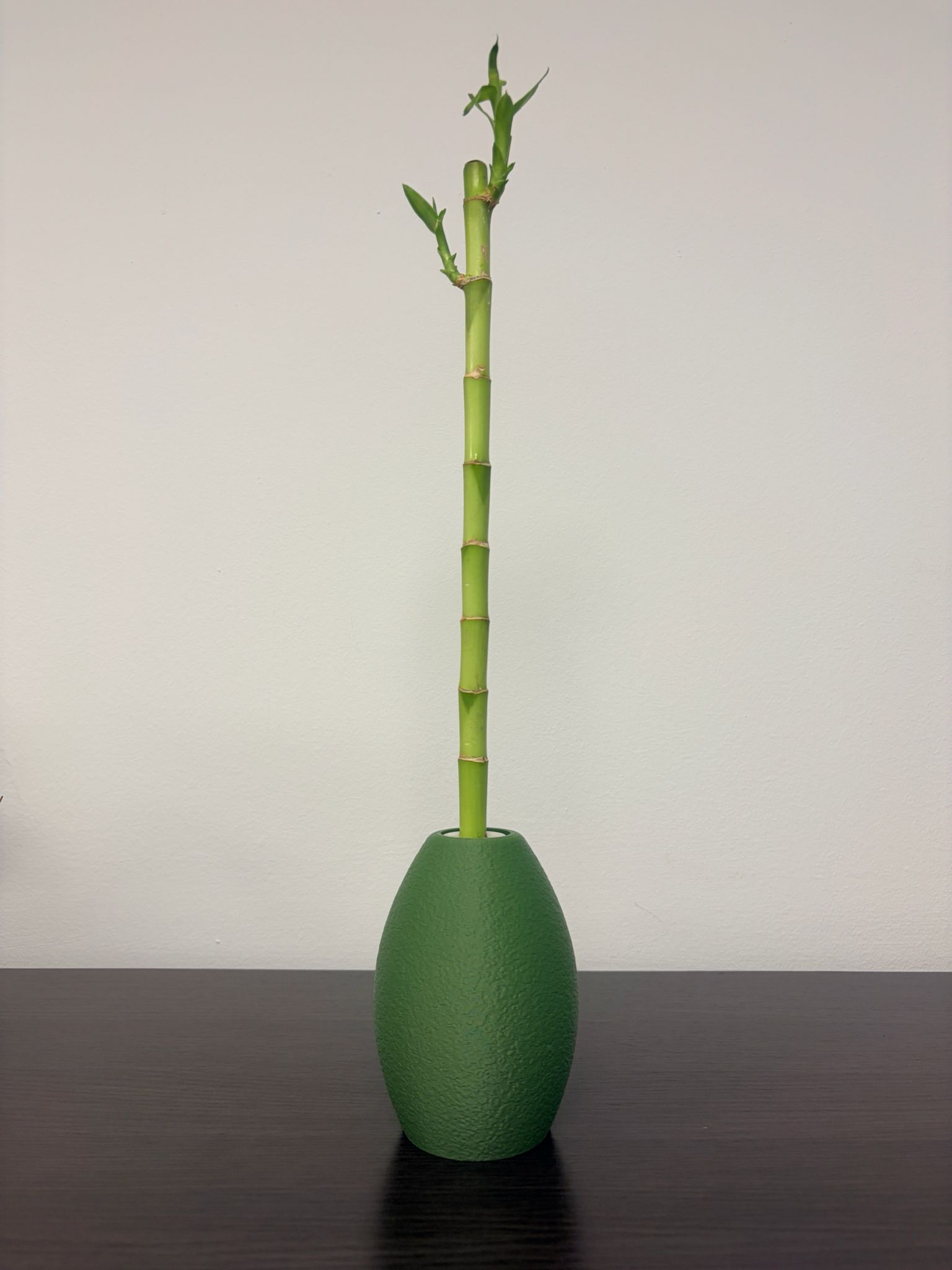 Maceta Bambu