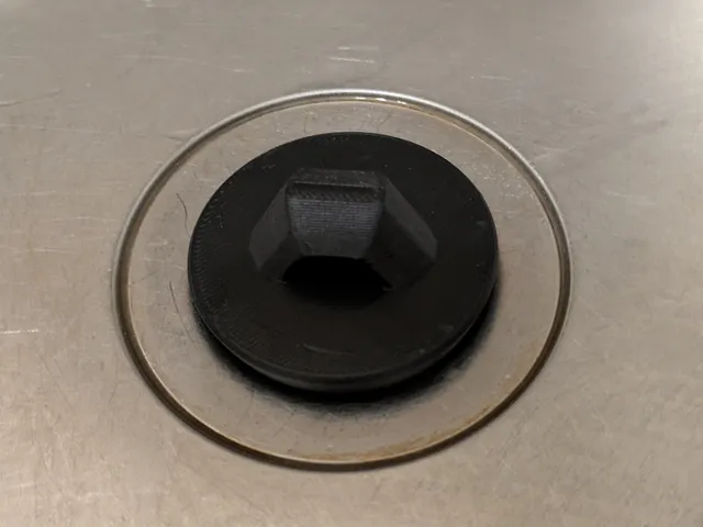Sink plug