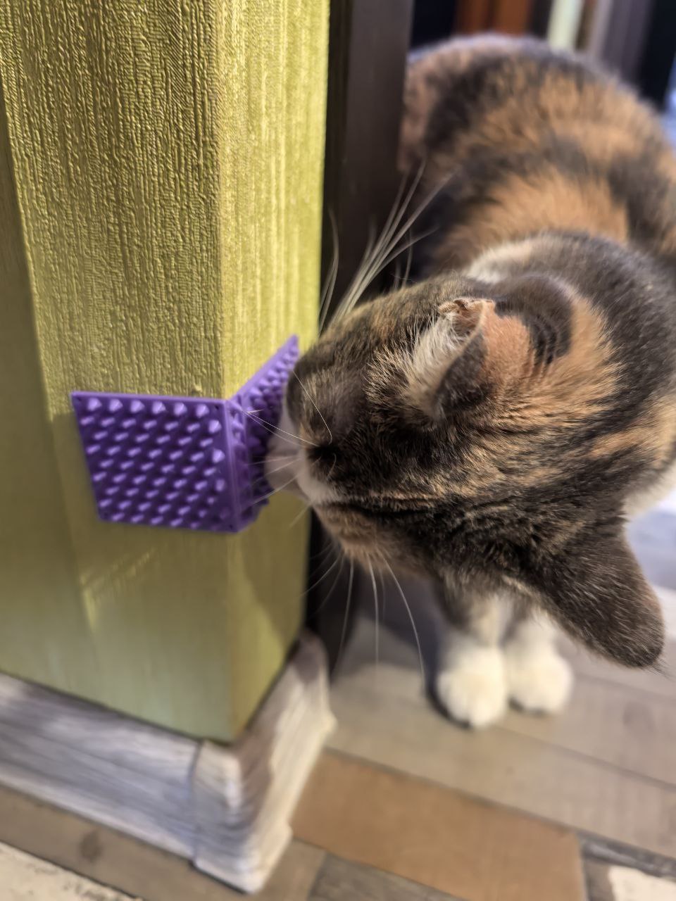 Cat scratcher (flexible angle)