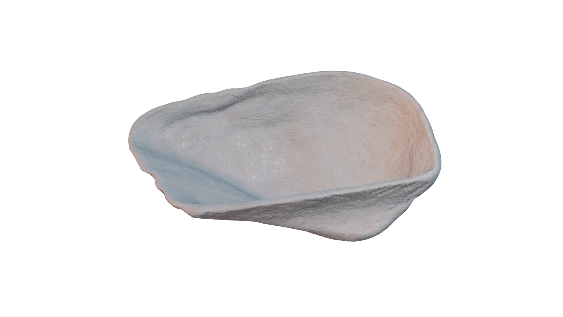 Seashell 3d Scan — thumbnail 2