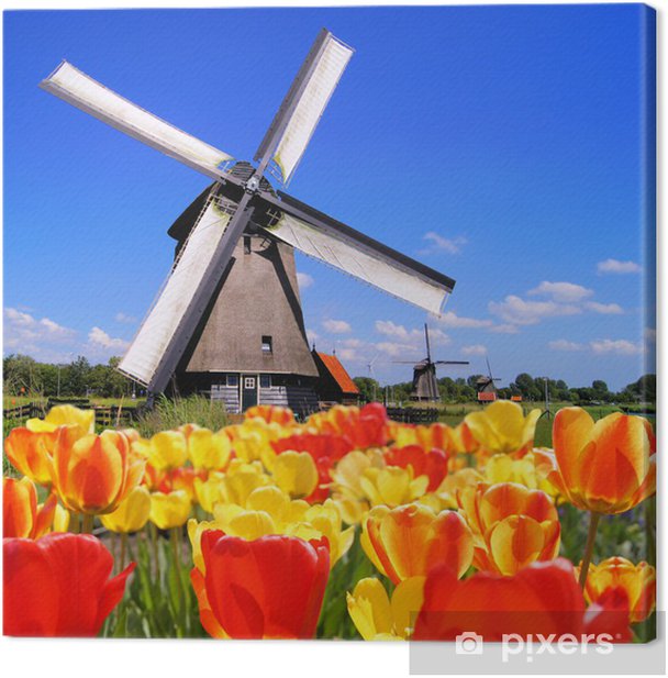 Windmill parts