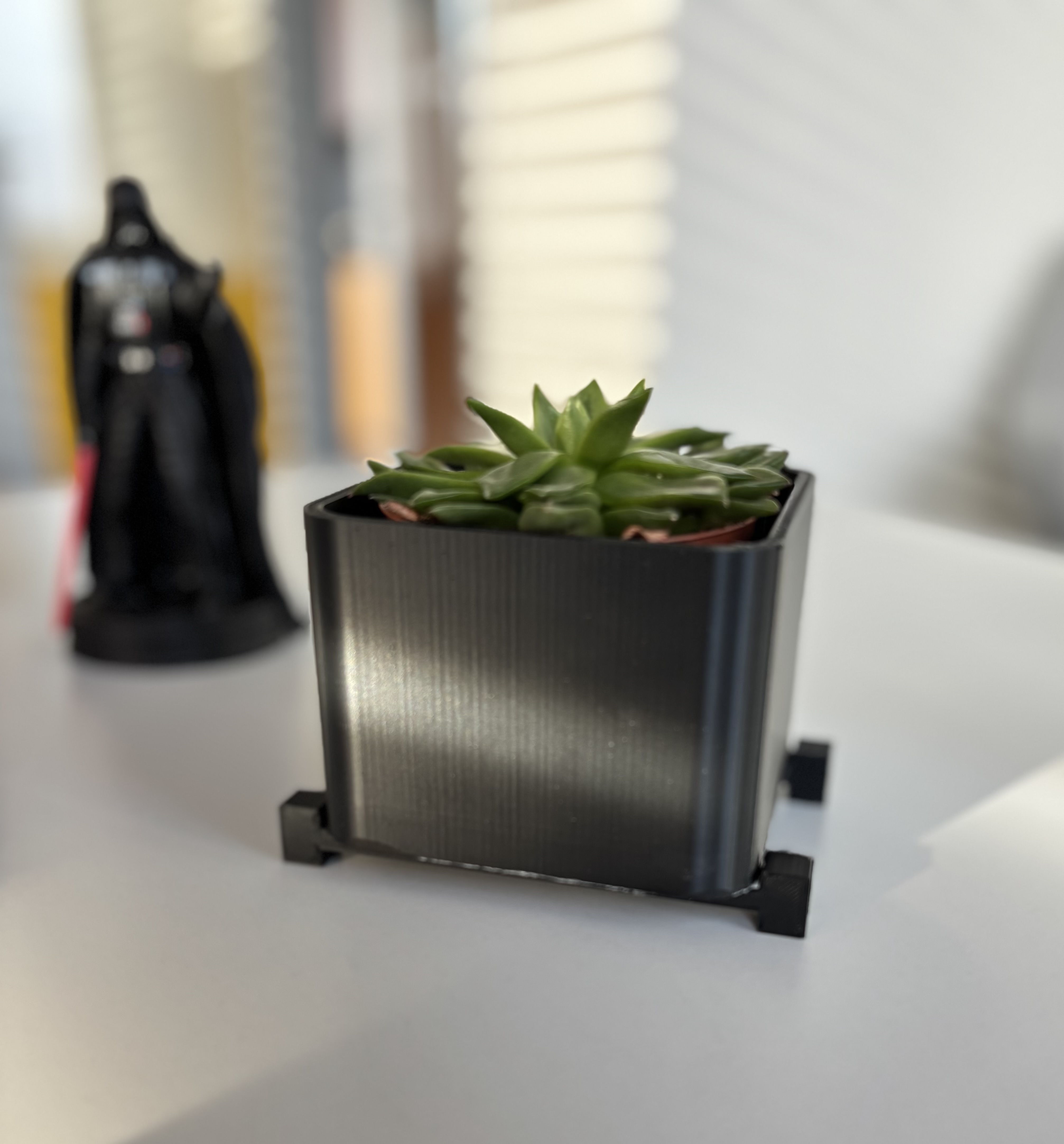 flower pot
