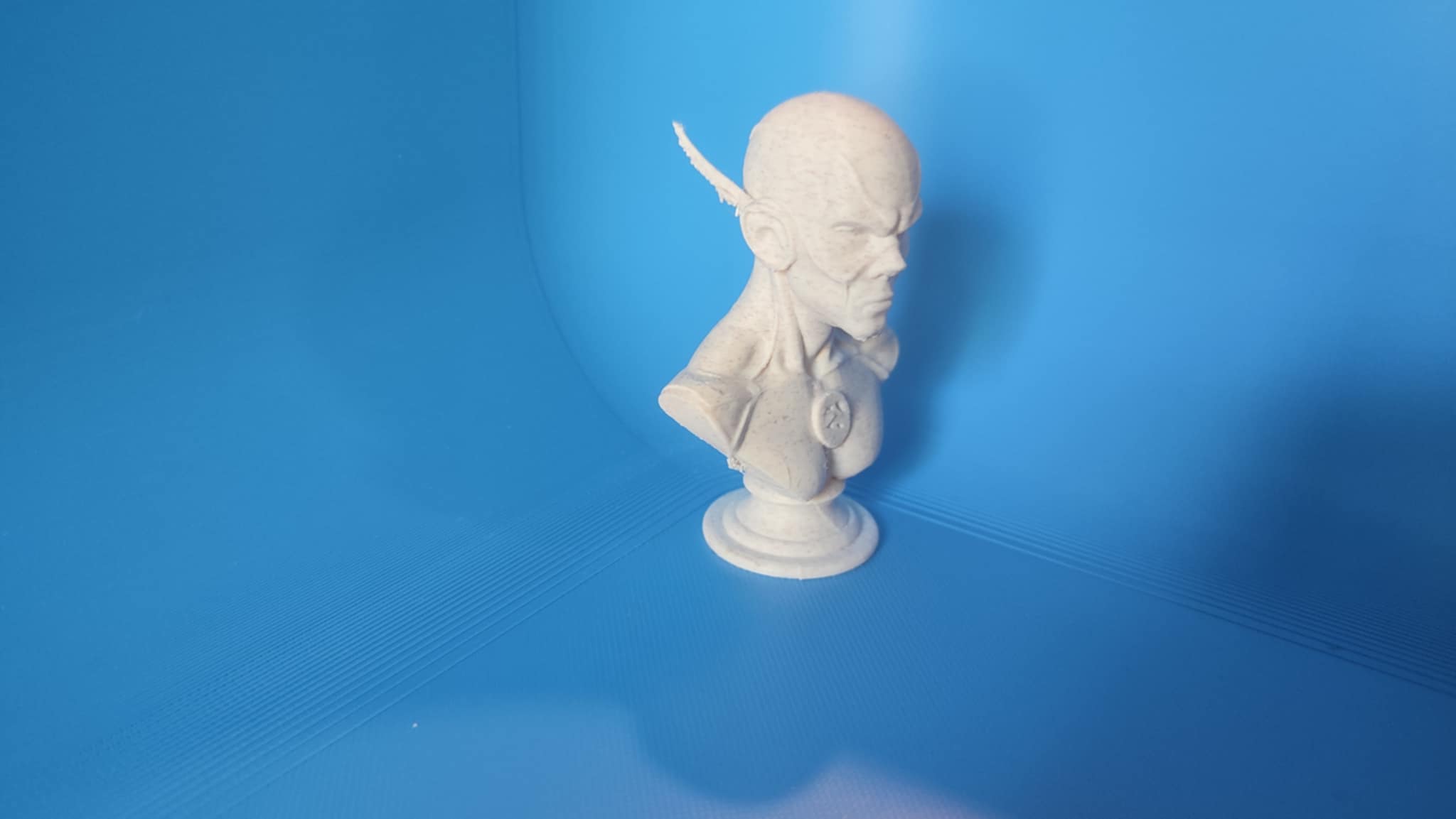 Miniatura 3 do modelo 3D Bust Flash