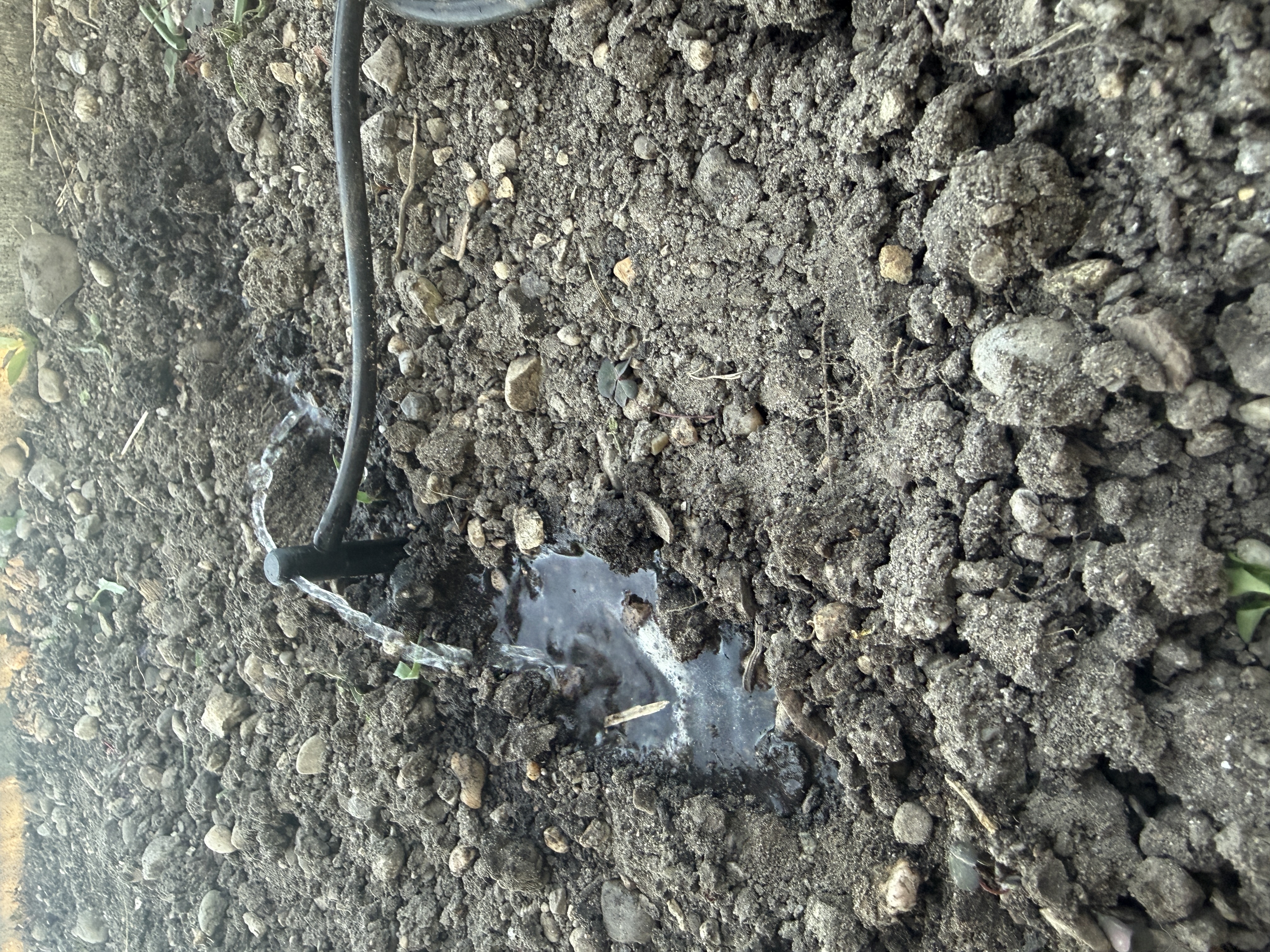 Mirco Drop Sprinkler/Auslass 4/6mm Schlauch