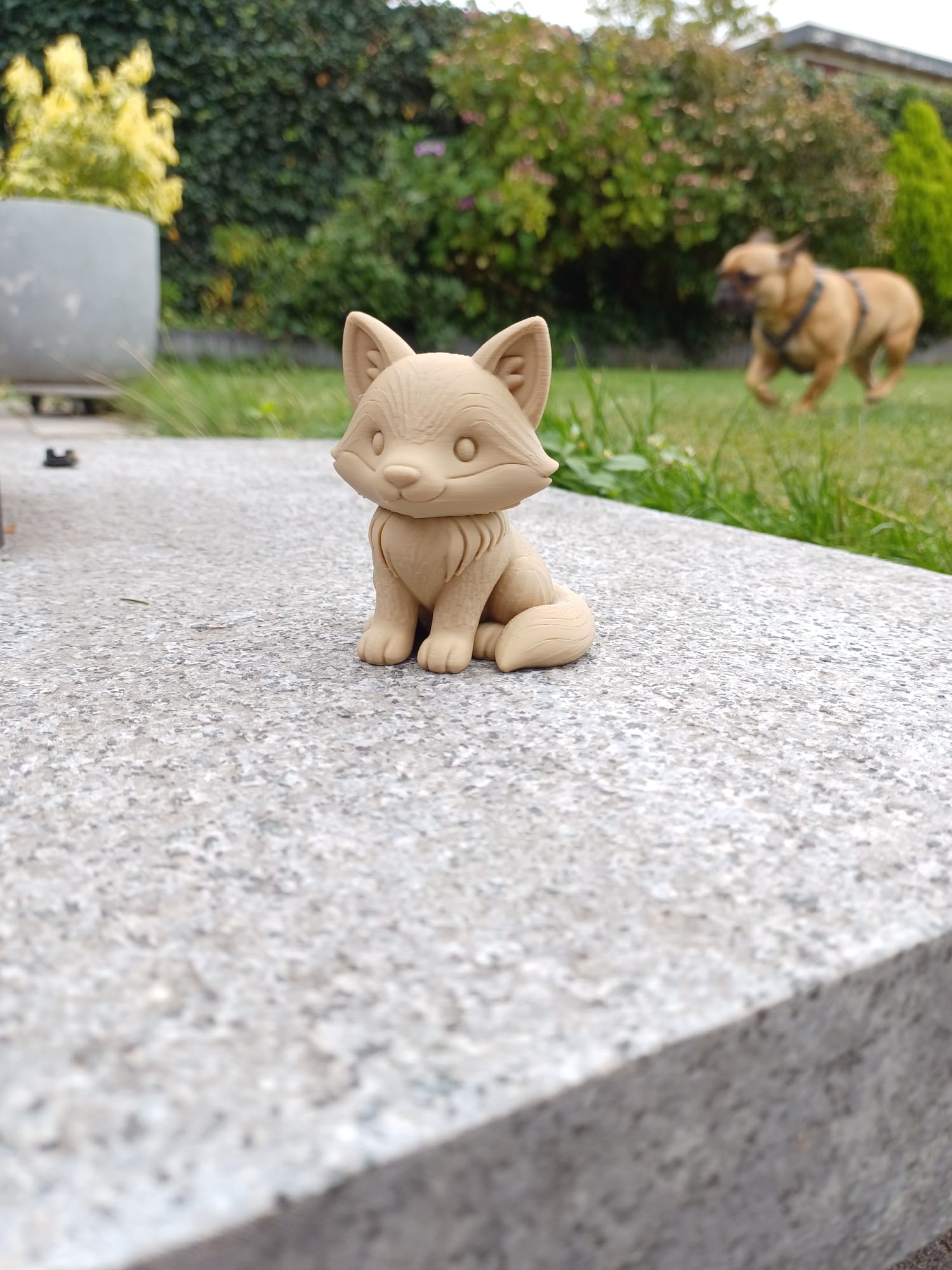 Little Fox—Pocket Woodland Pal