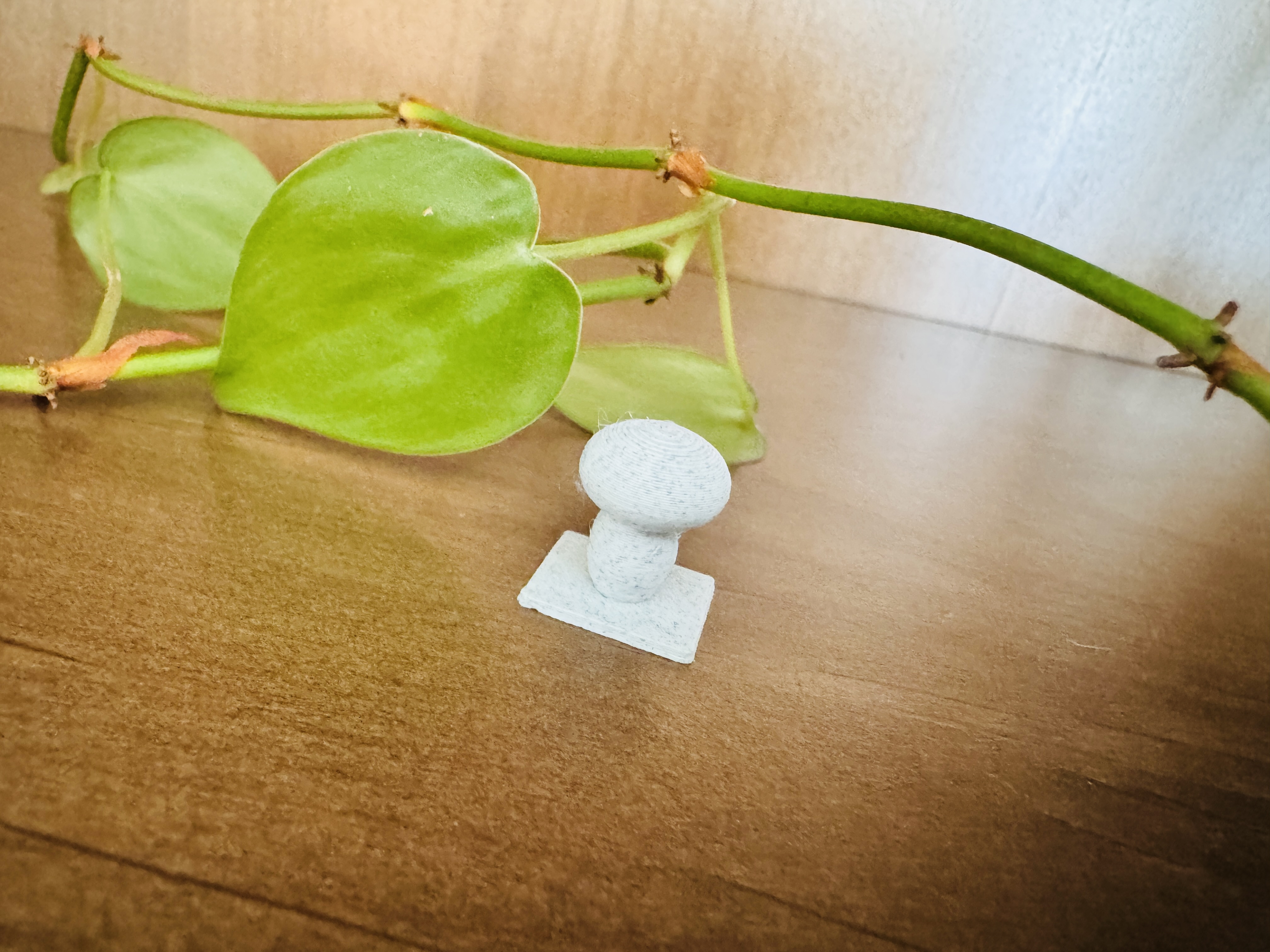 Mushrooms — miniatura 5