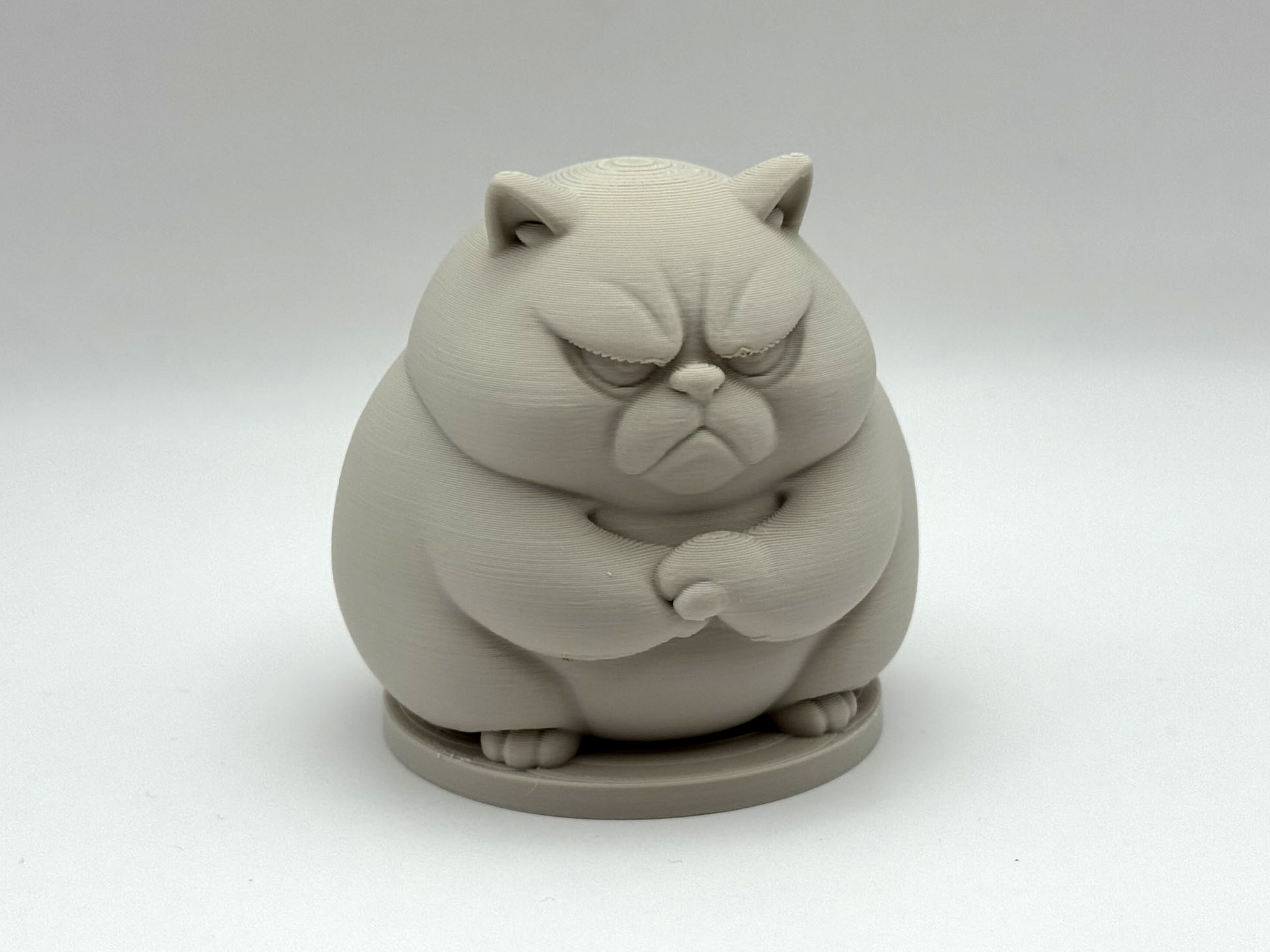 Miniatura 3 do modelo 3D Grumpy Chonk Cat
