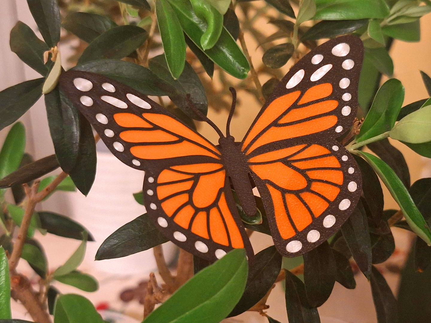 Monarch Butterfly