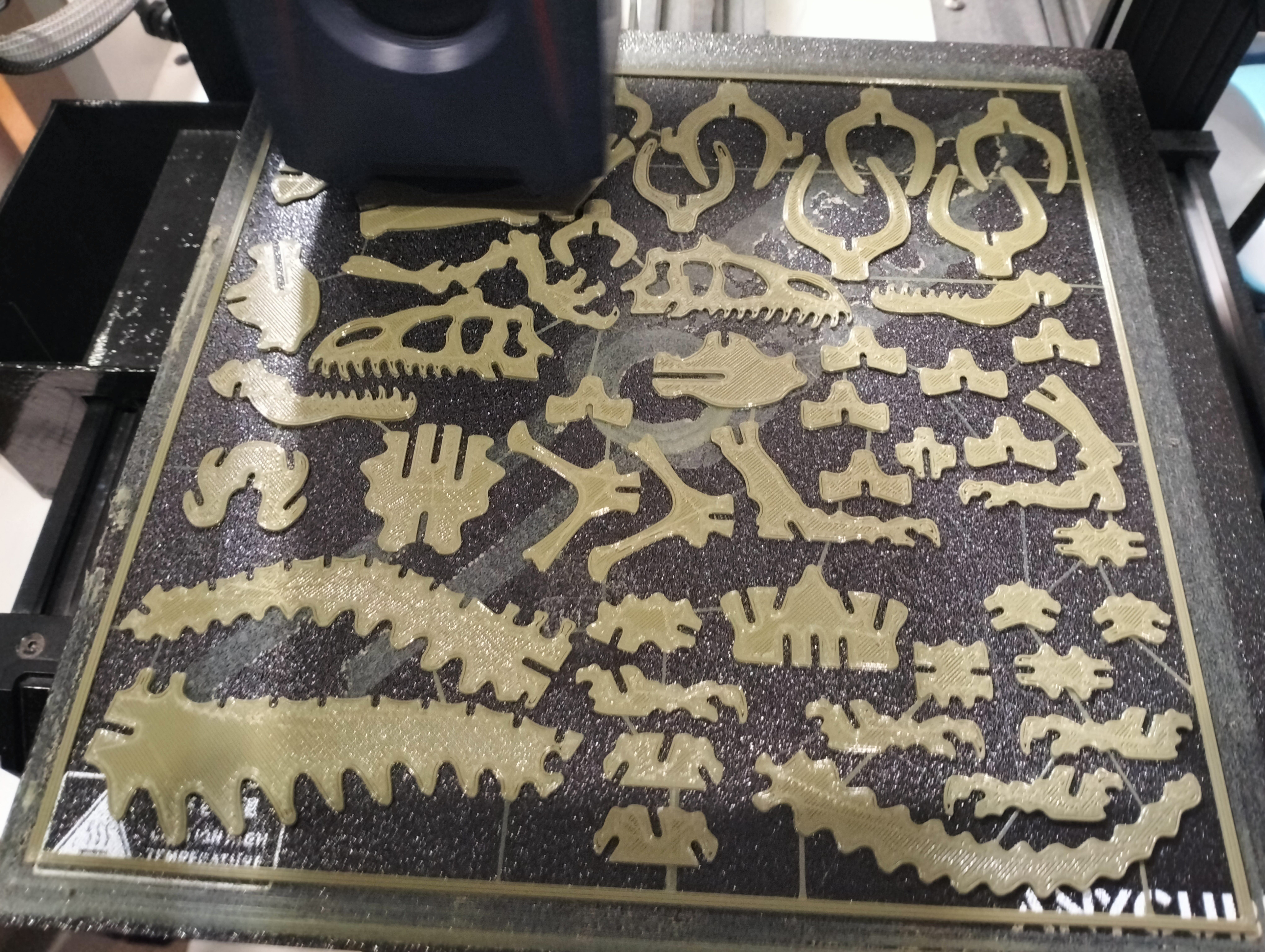 Miniatura 5 do modelo 3D 3D puzzle Alasaurus