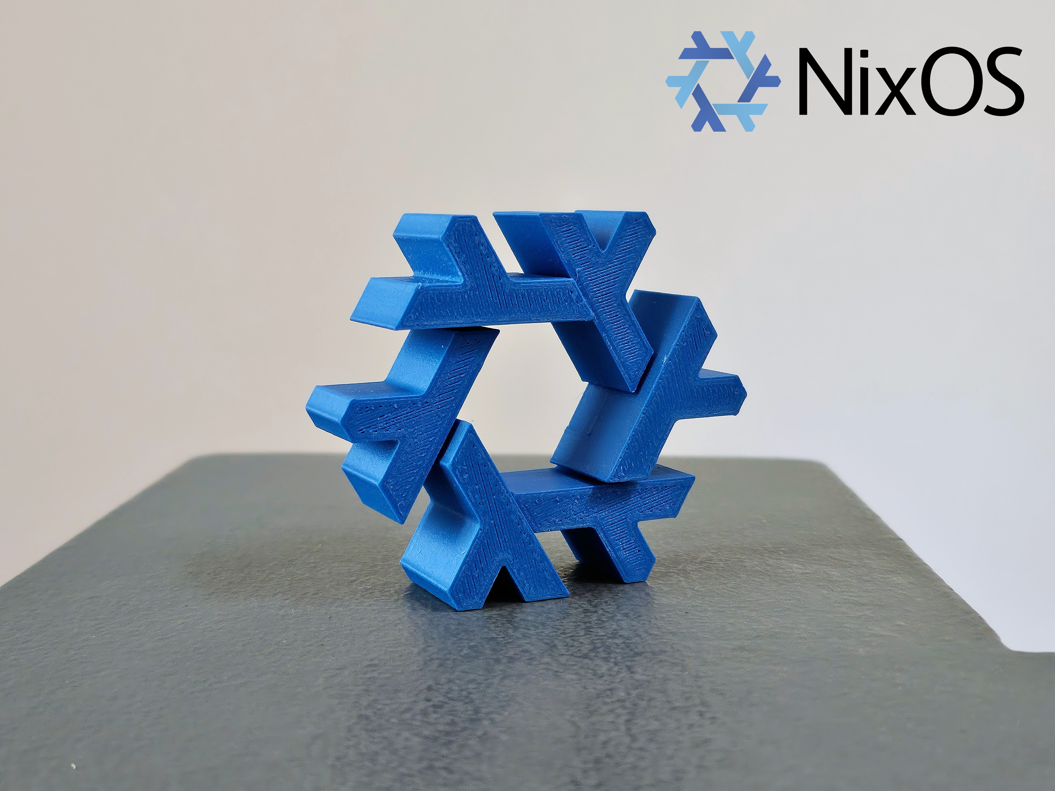 NixOS Flake