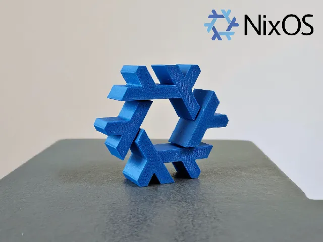 NixOS Flake