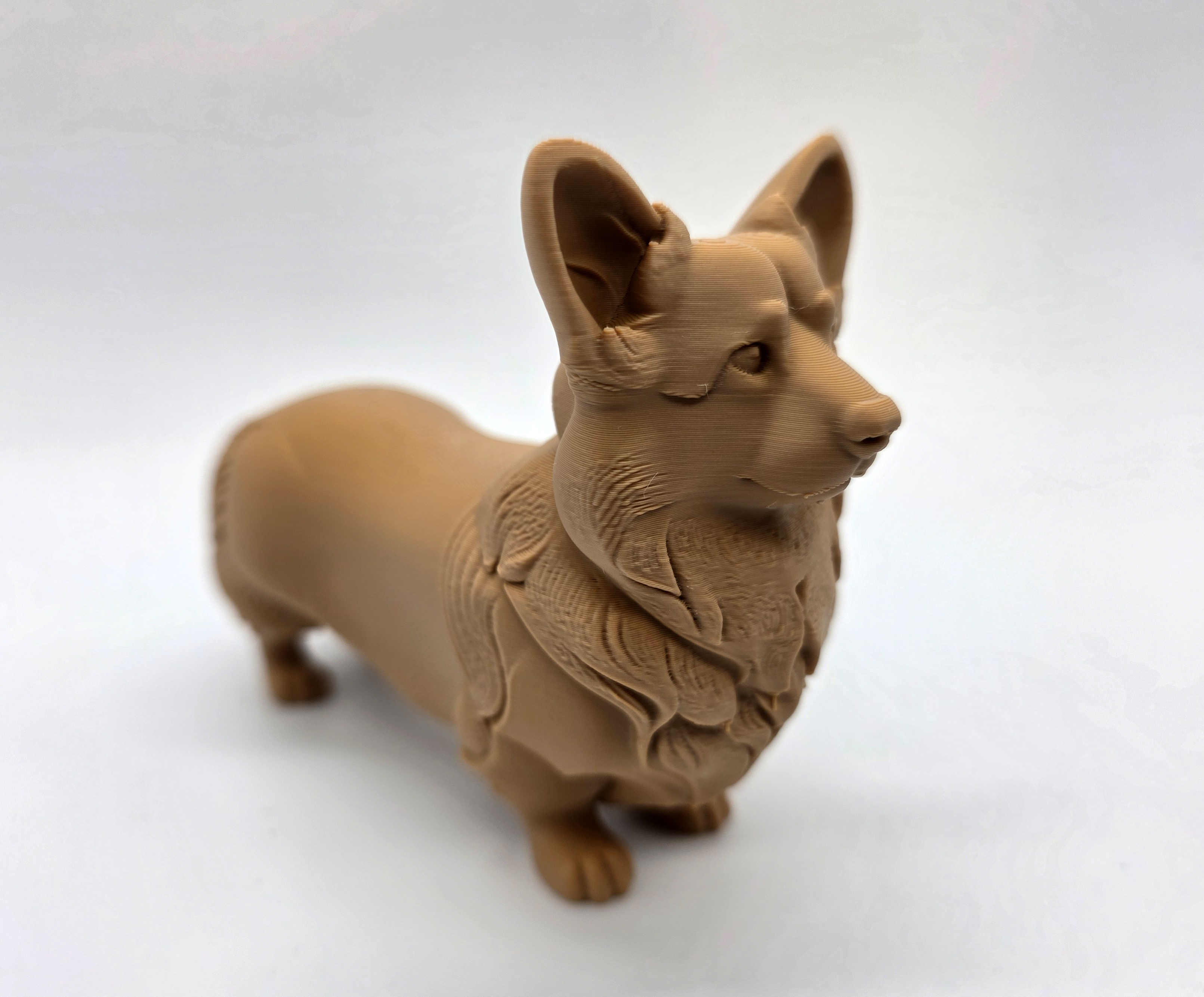 Standing Corgi — miniatura 2