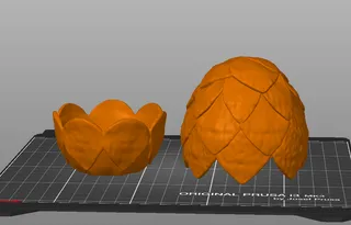 Dragon egg