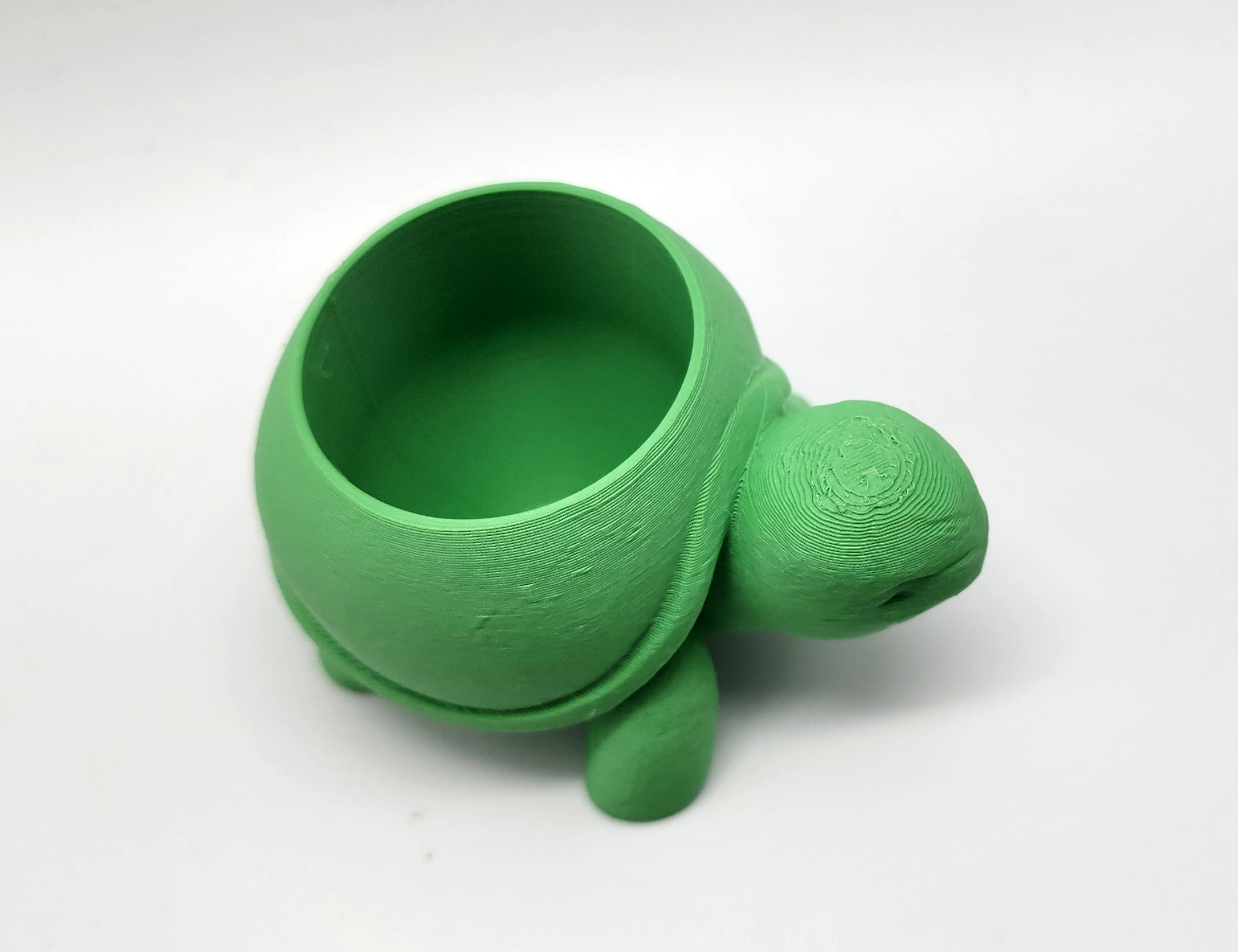 Miniatura 2 do modelo 3D Rounded Turtle Succulent Planter