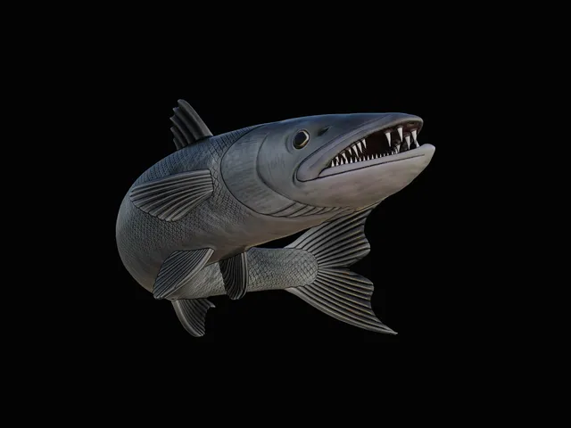 Great Barracuda Open-Mouth Model – Design 2