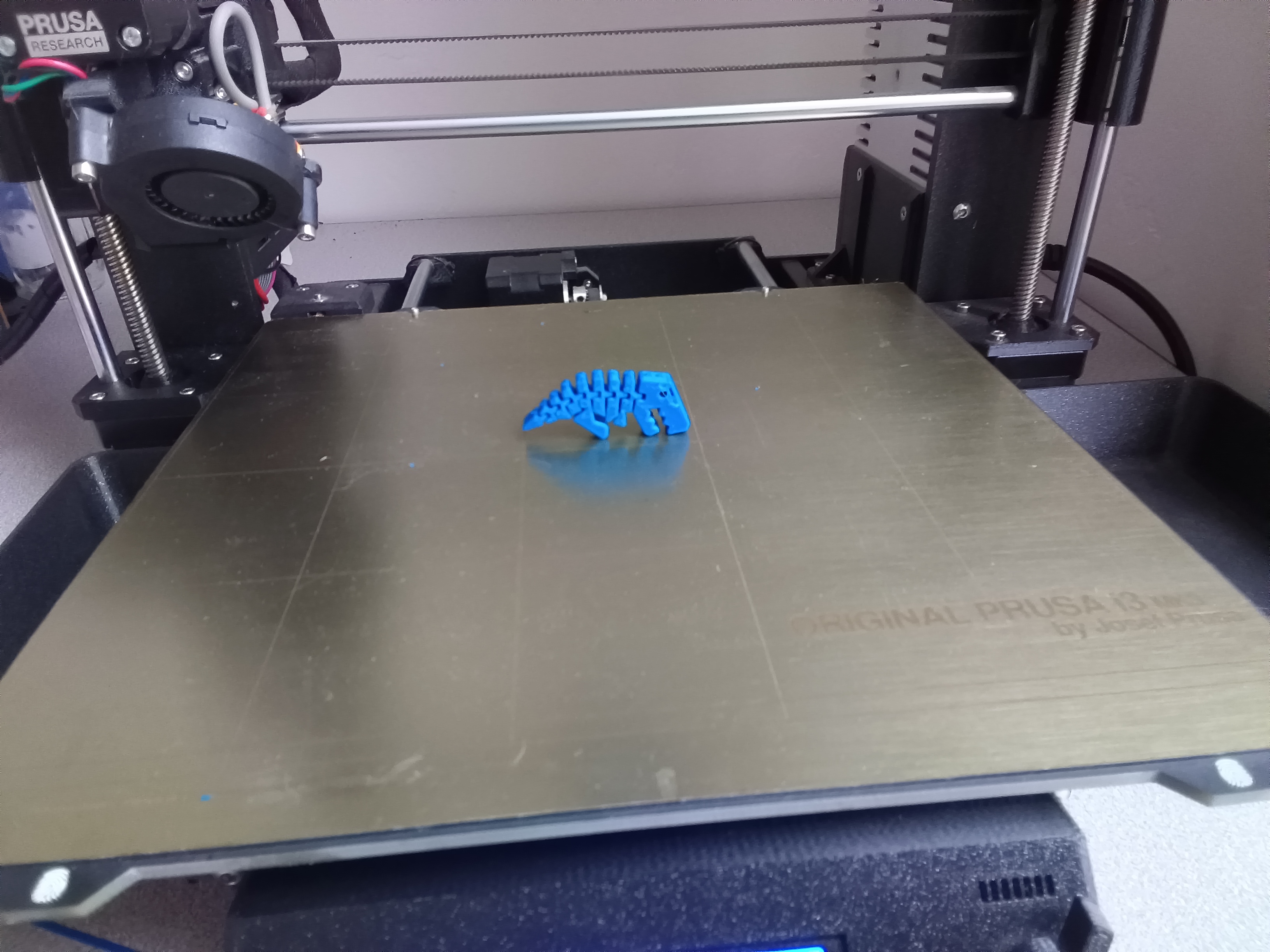 mini flexi rexi