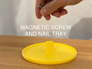 Magnetic Screw and Nail Tray