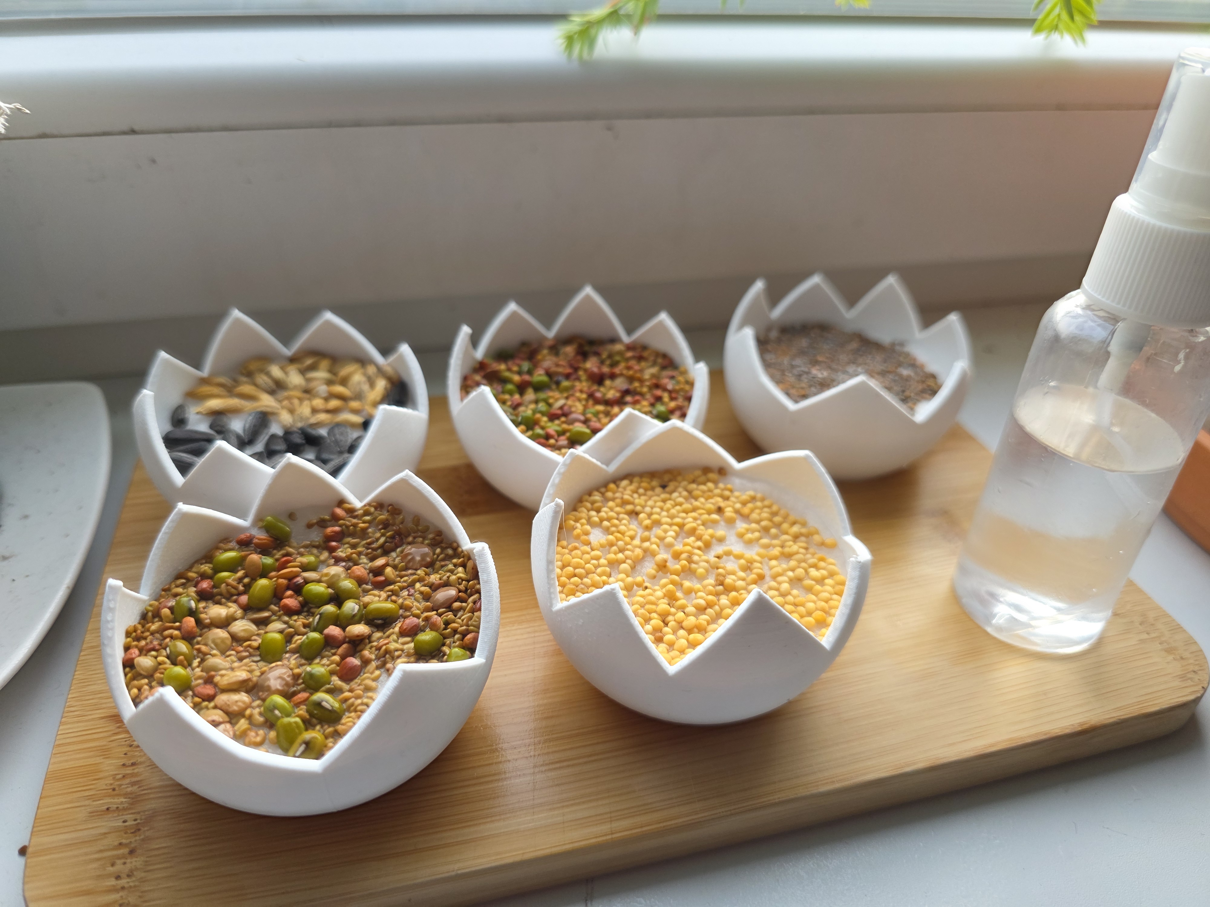 Cress sprouter (eggshell shape) - easter decoration