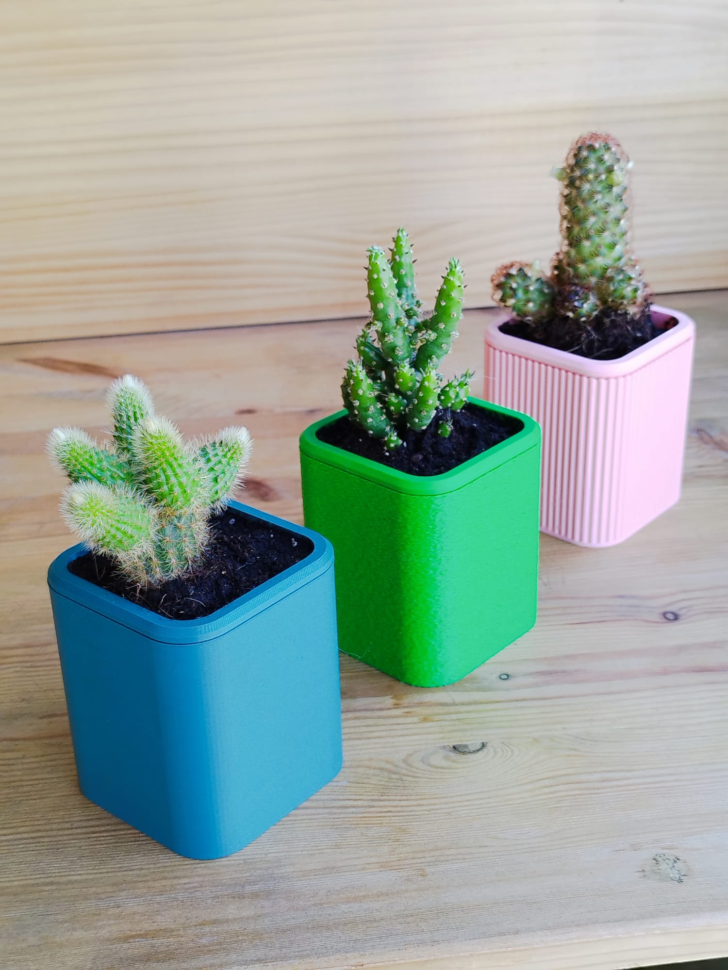 Set of 3 small pots with reservoir for indoors