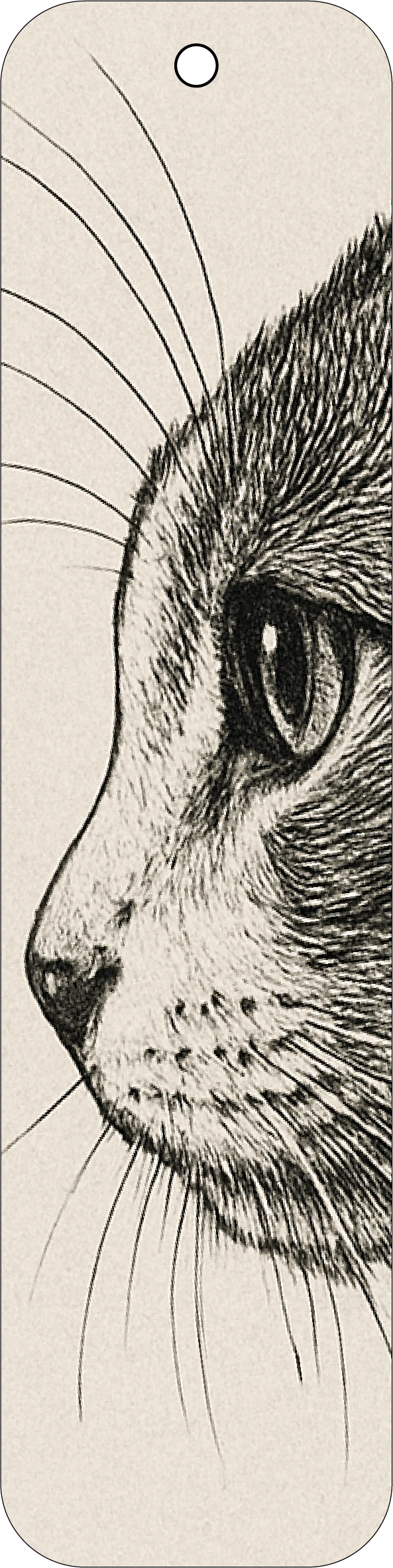 Cat profile