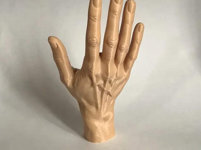 male hand