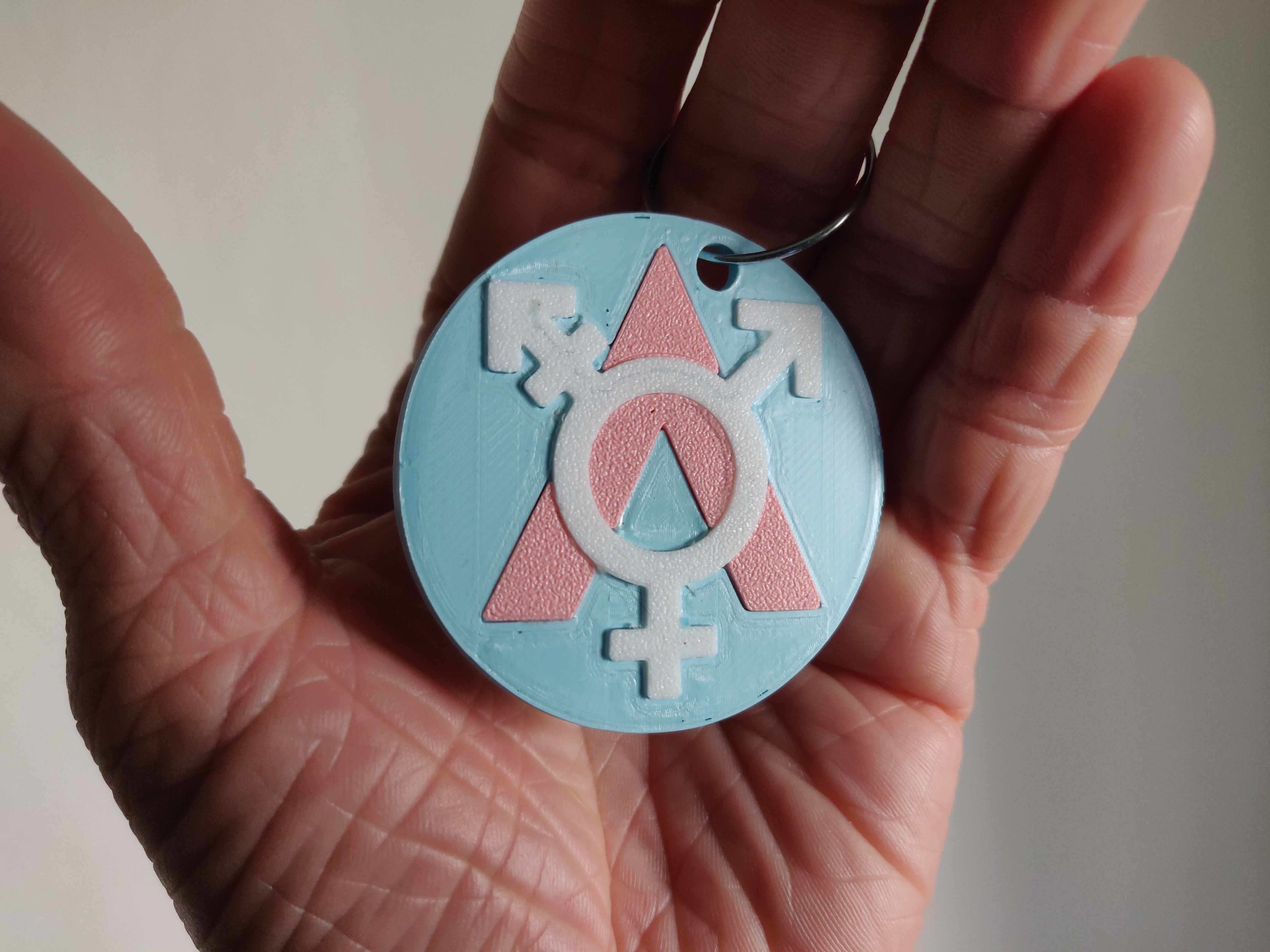 Trans Ally Keyring