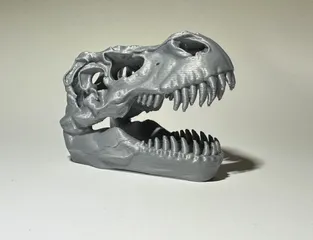Dinosaur T-Rex Skull
