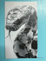 Flower Viper