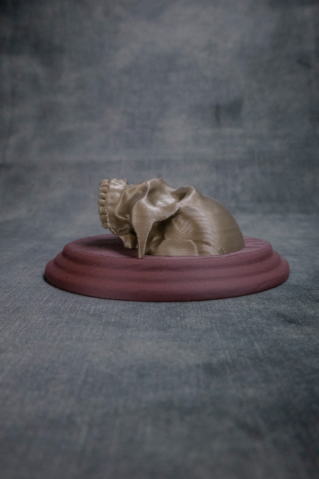 Skull Sconce (Pre Supported) — miniatura 6