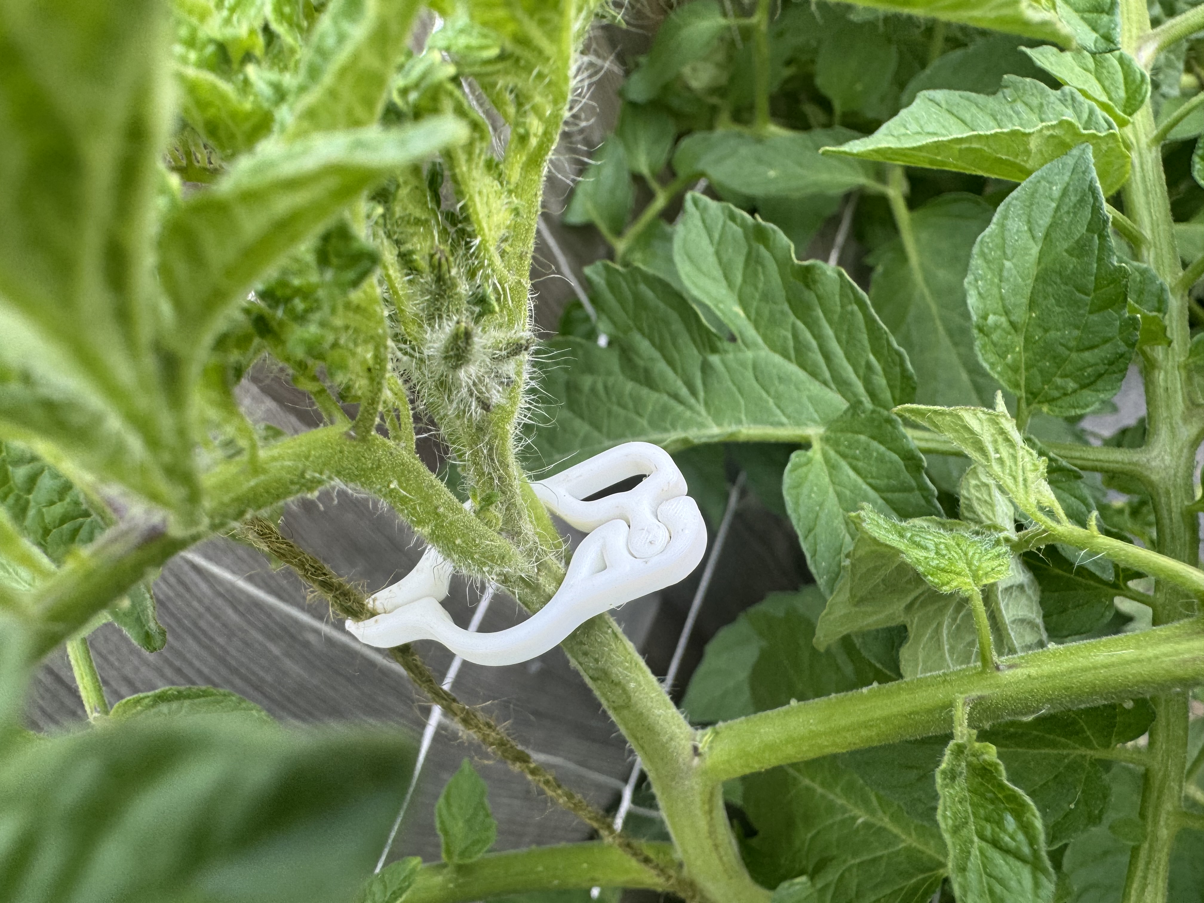 Quick easy to Print Re-Usable Plant Clamp to support plant with Wire from Trellis