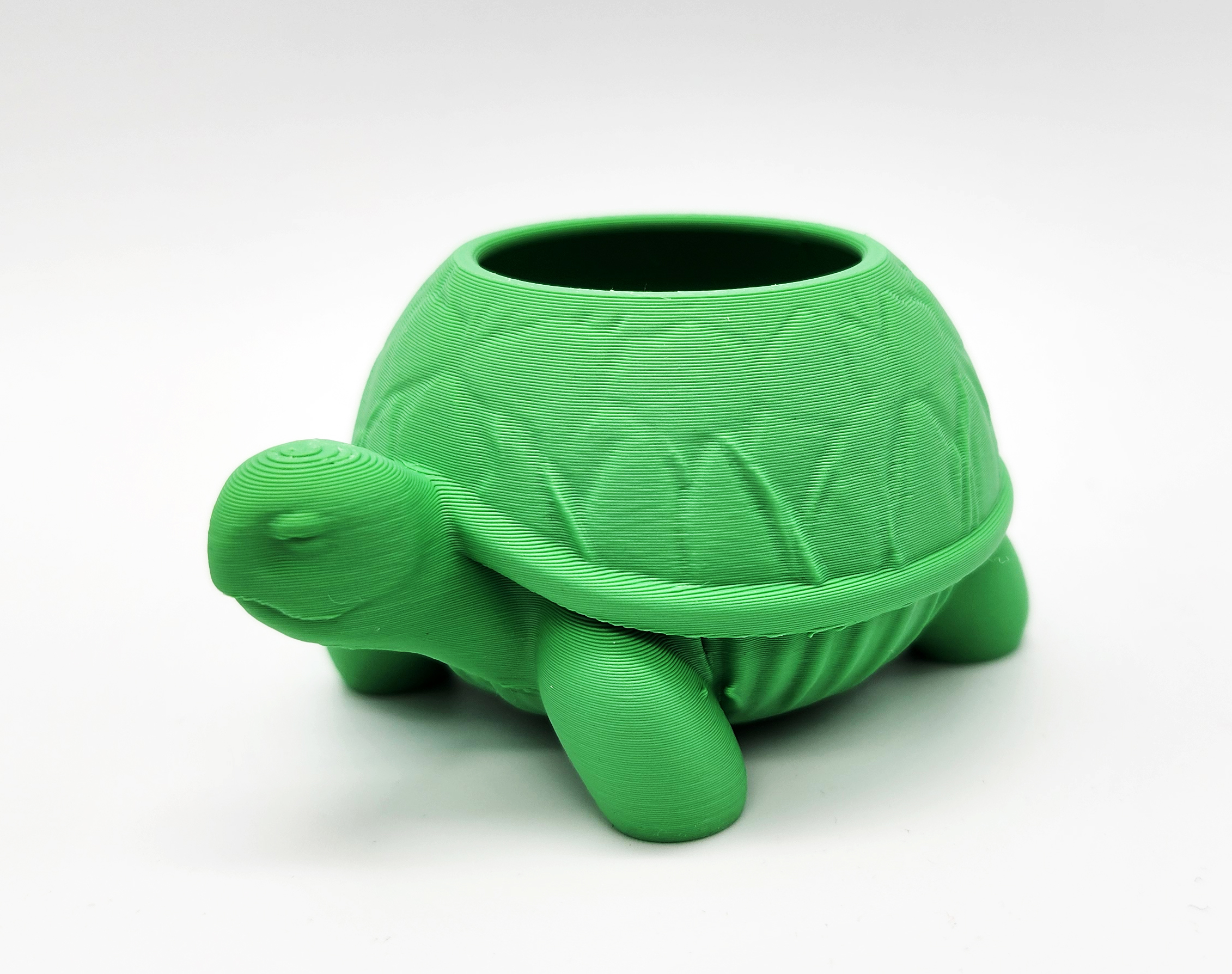 Tortoise Succulent Planter 1