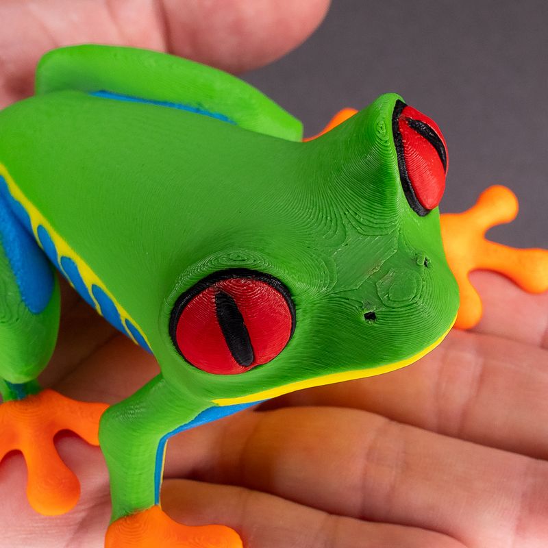 Tree Frog & Poison Dart Frog for INDX by Prusa Research | Download free ...