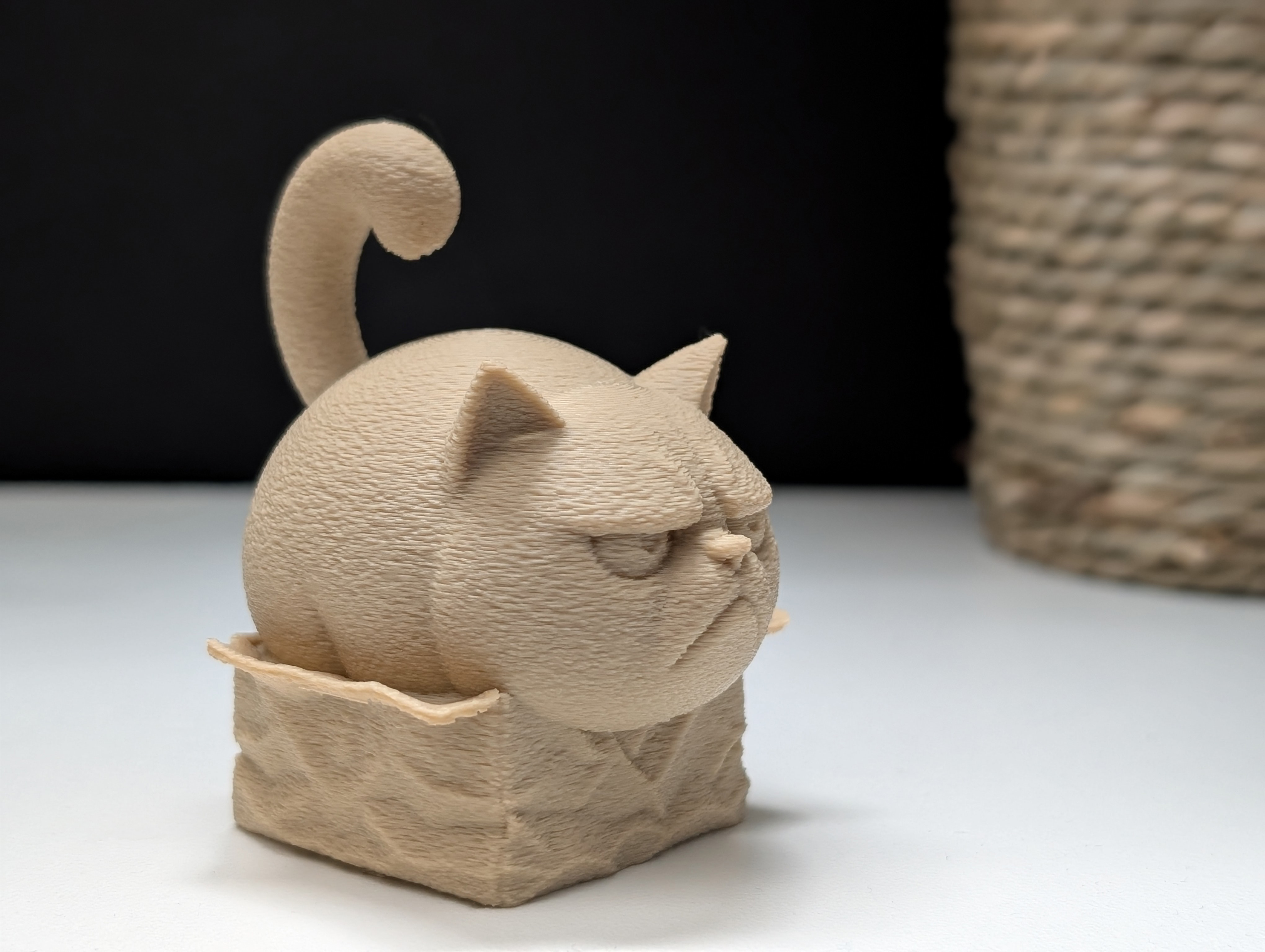 Miniatura 3 do modelo 3D Grumpy Cat "in" a Box