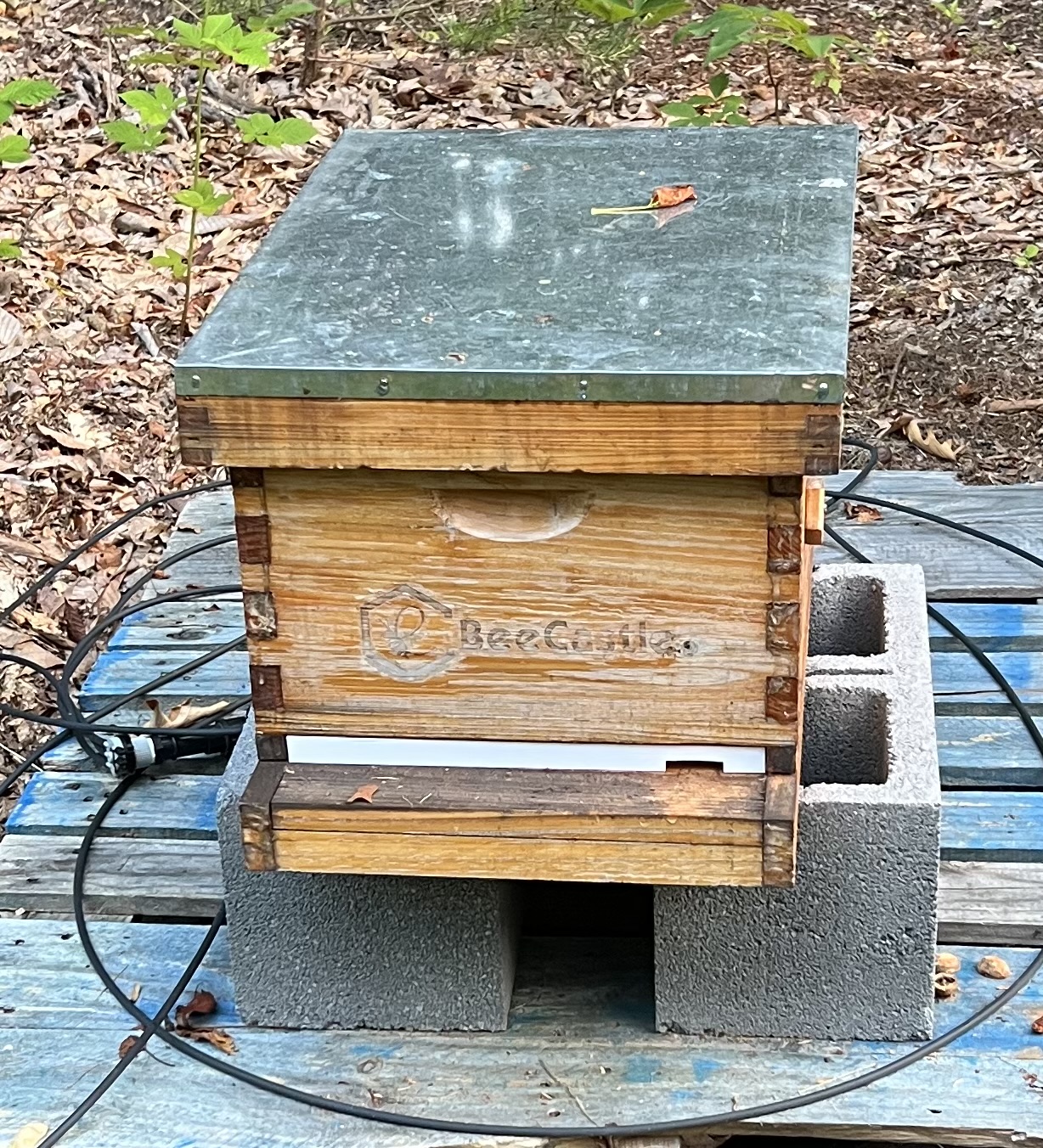 8-Frame Langstroth Entrance Reducer