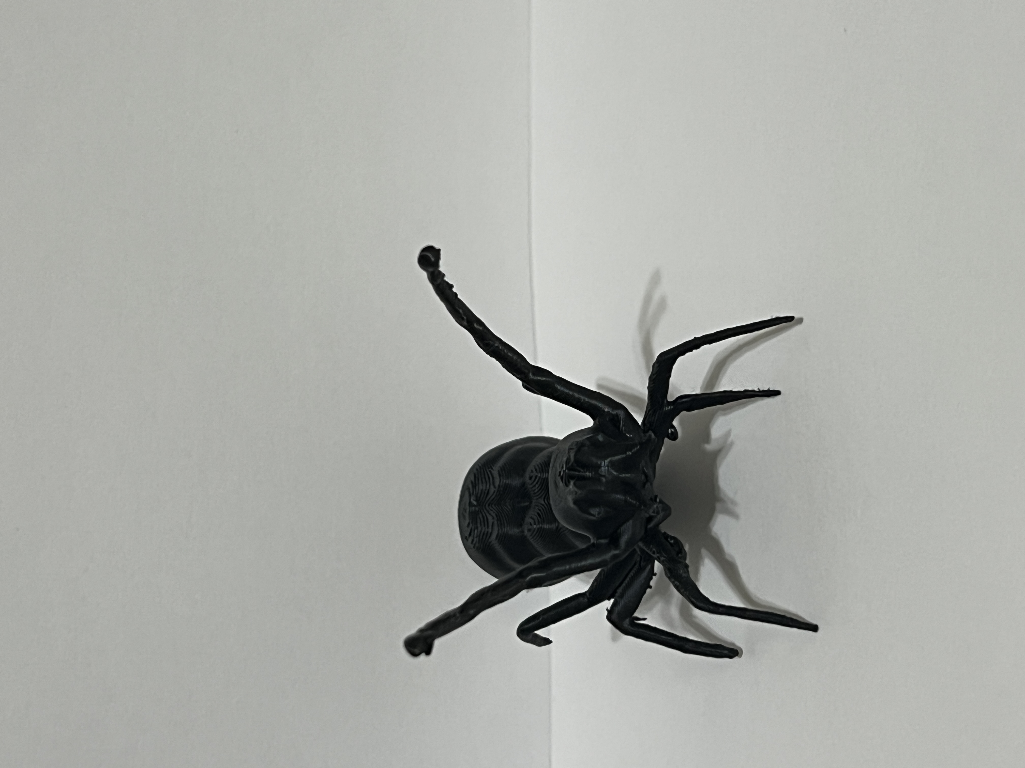 Scary Mutant Spider
