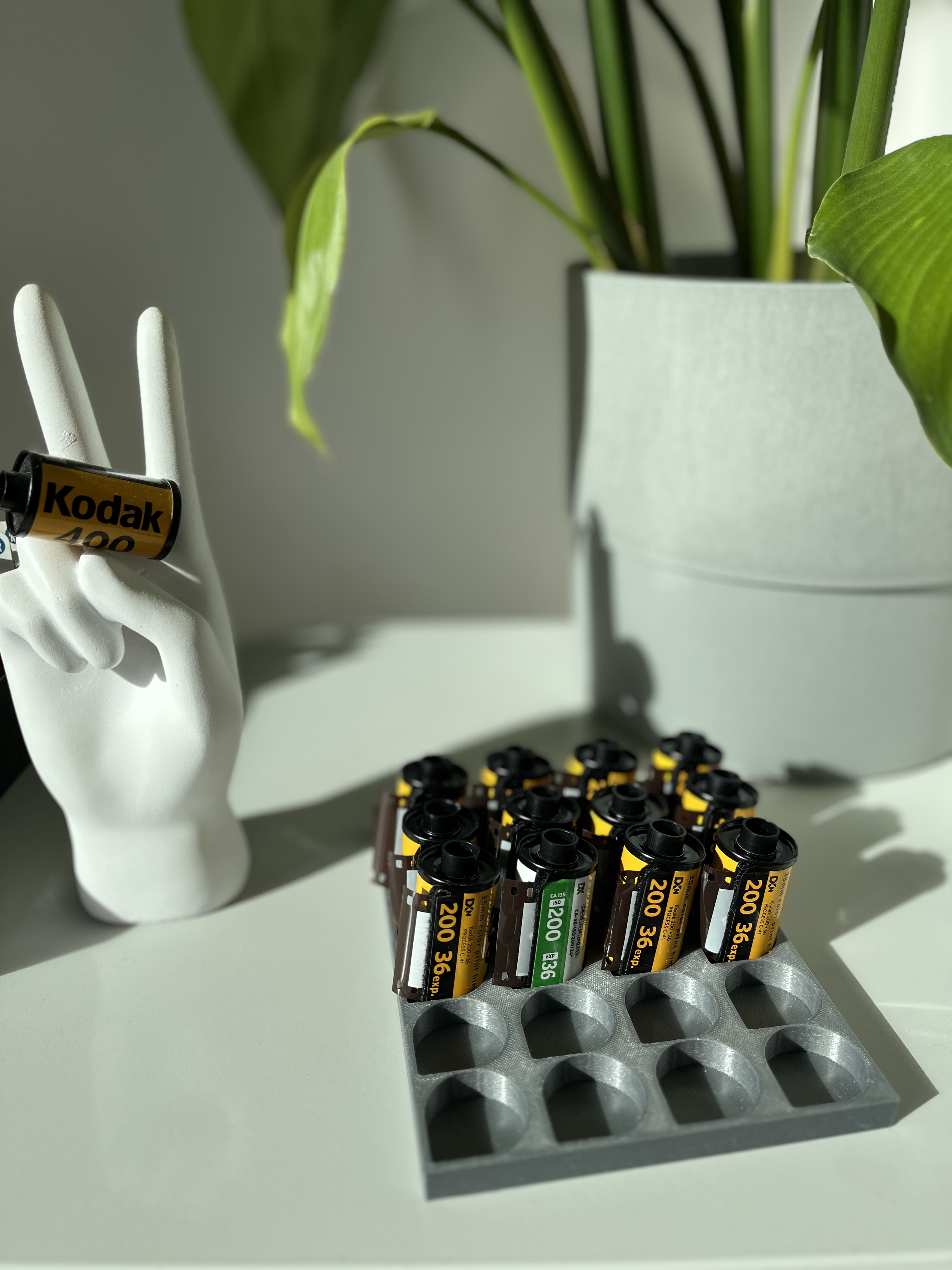 Film canister tray