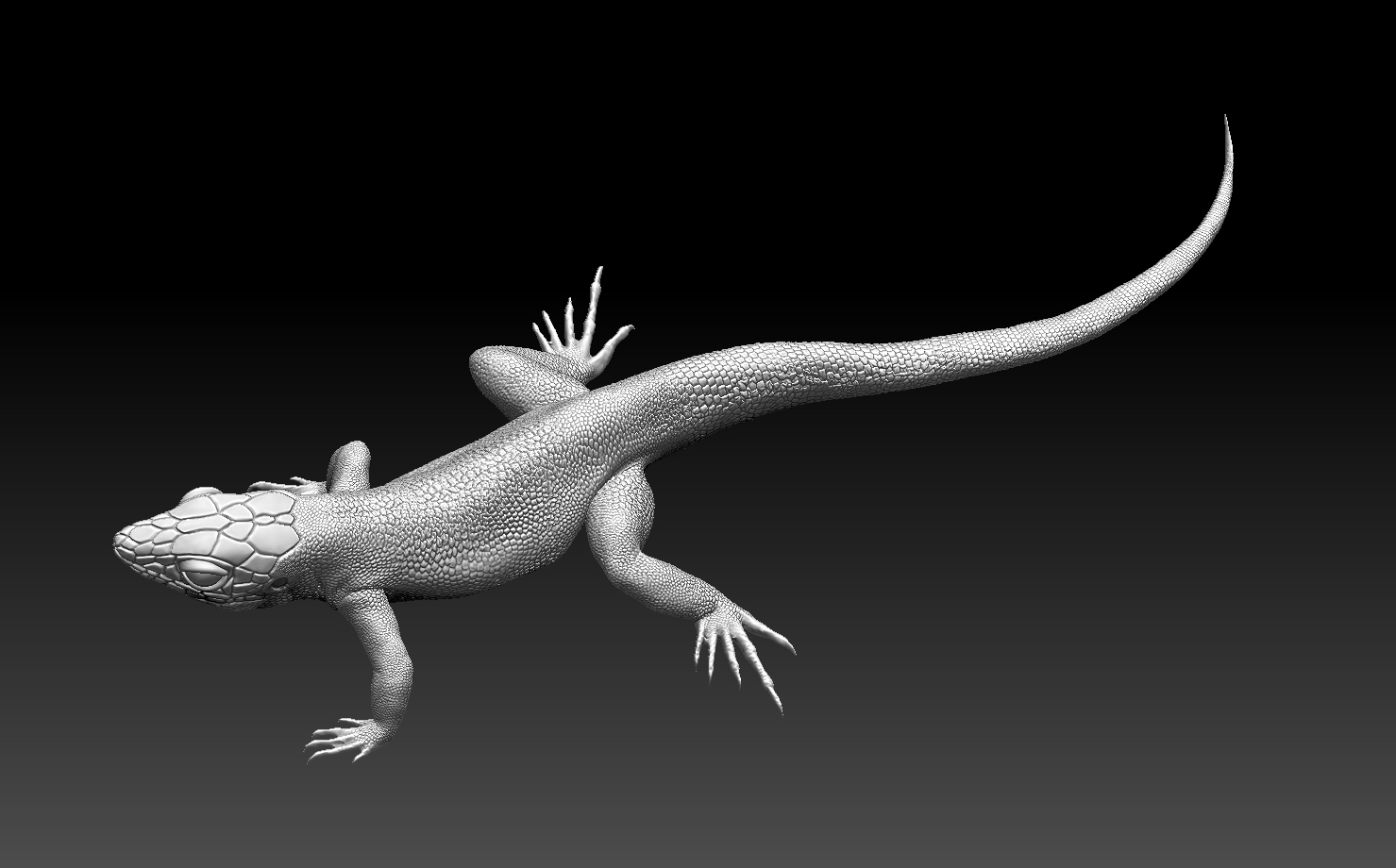 lizard — miniatura 7