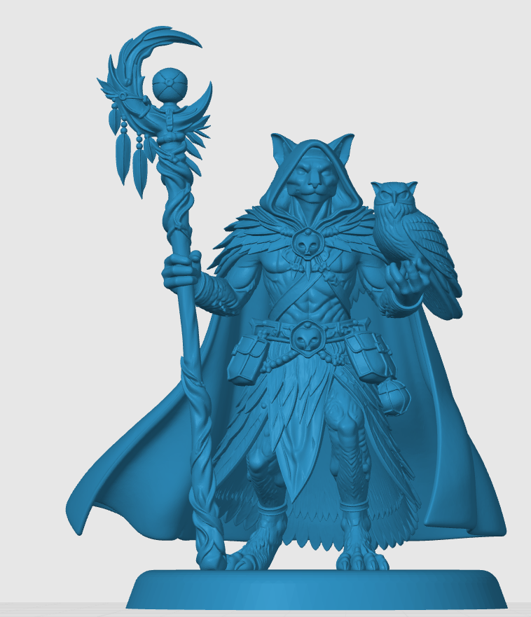 Tabaxi Druid — miniatura 5