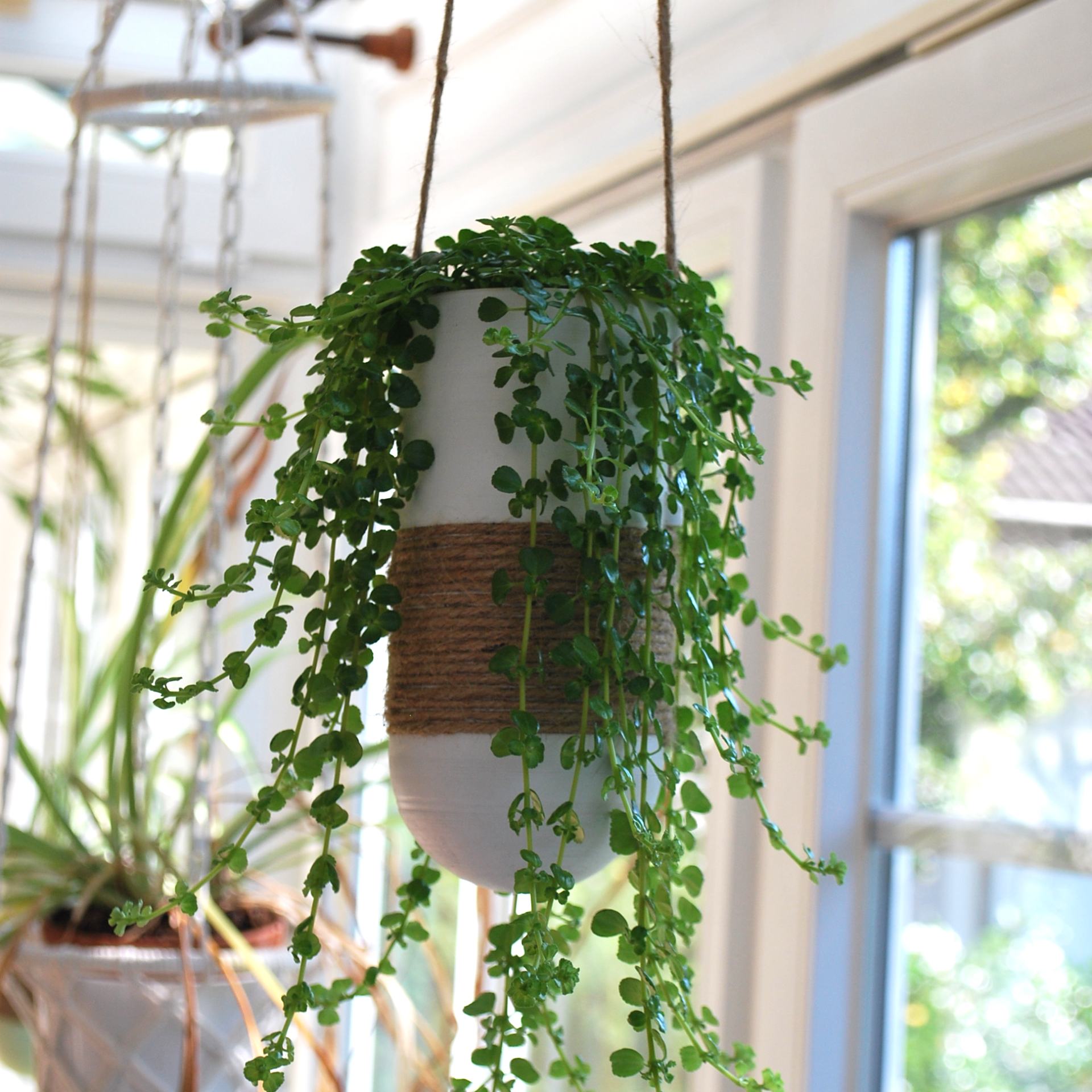 Miniatura 2 do modelo 3D Hanging Planter