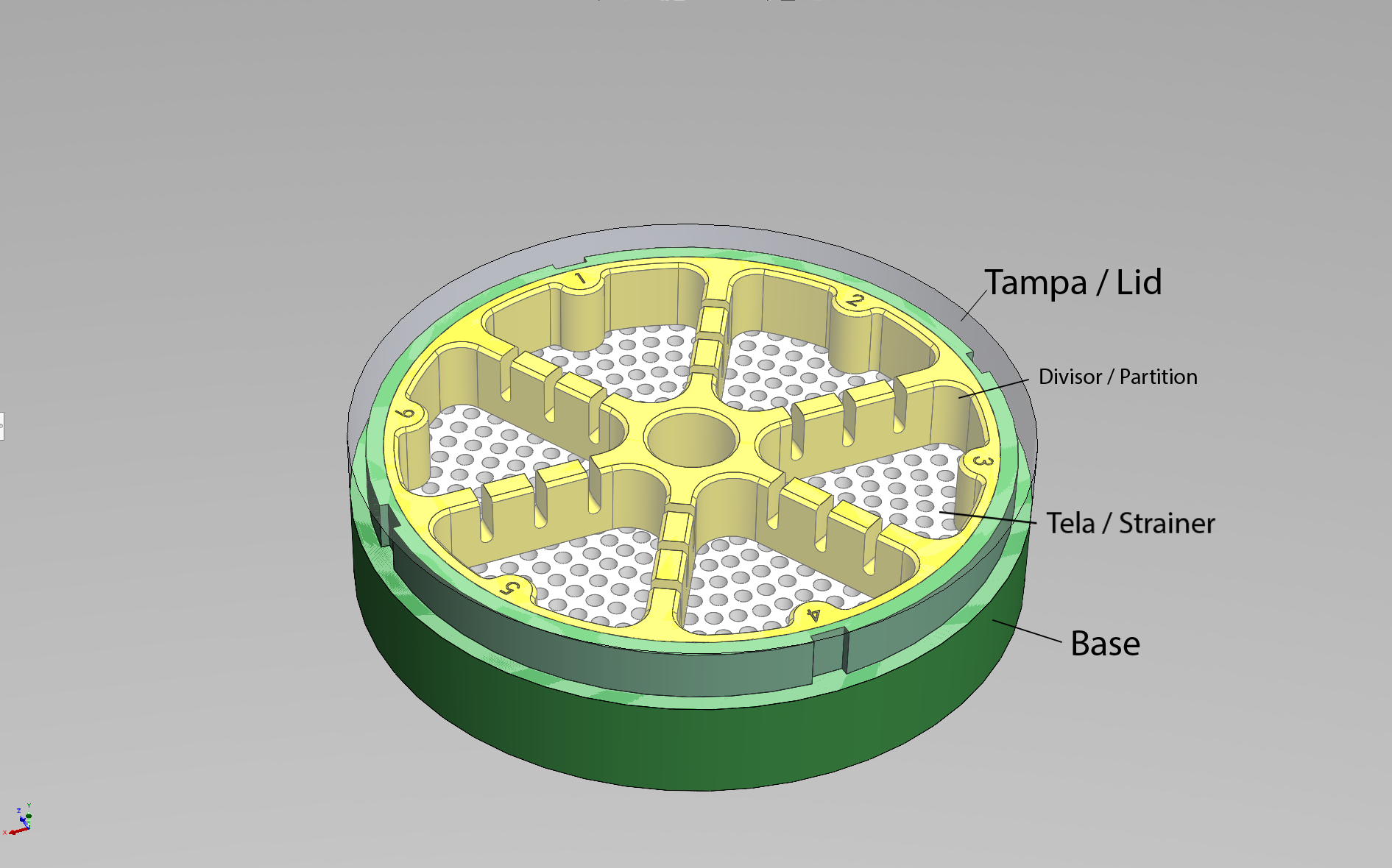 Germination Container