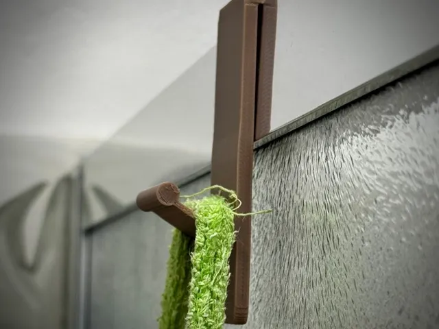 Shower Hook