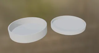 Petri dish