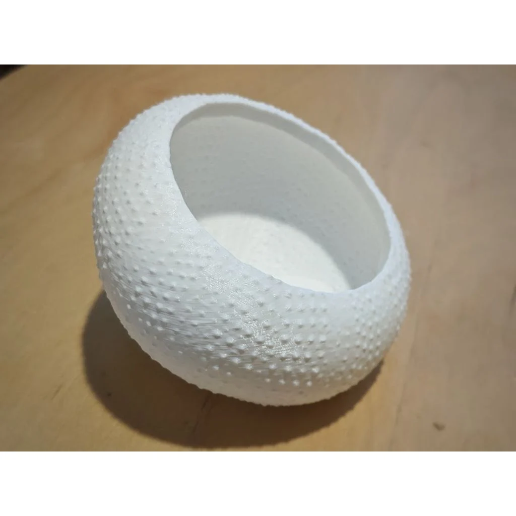 Sea Urchin planter / pot / cup