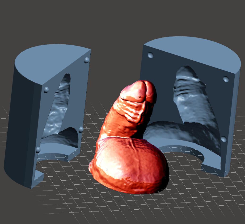 My Real Penis and Mold (Flaccid)