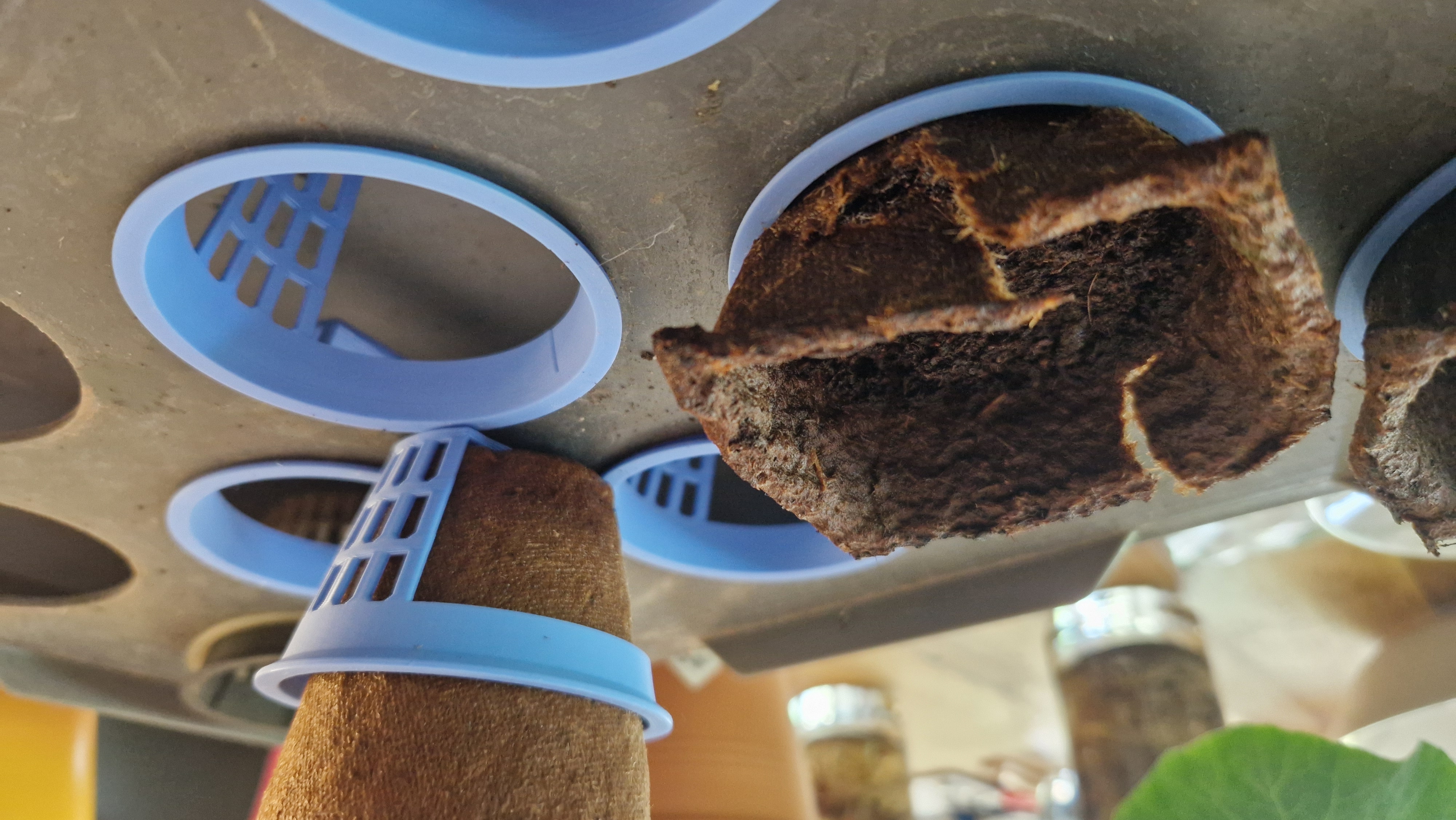 RAKO Hydroponics - Basket for paper cups