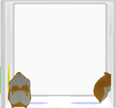 Hamster housing: Small rooms