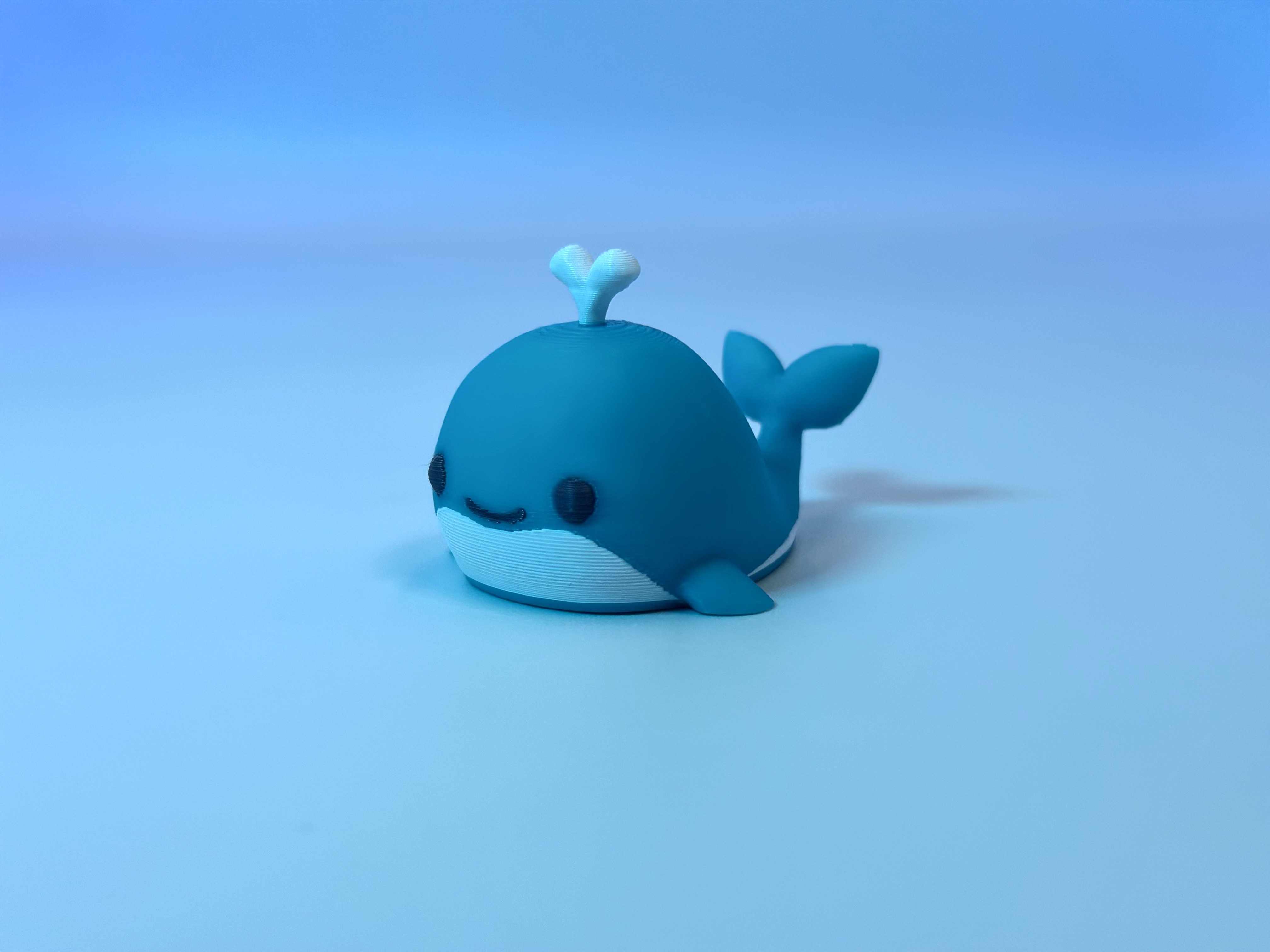 Whale small buddy