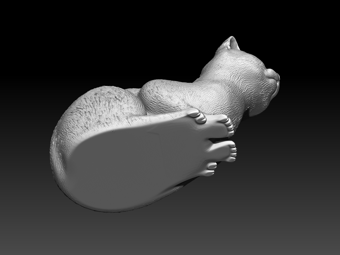 cats — thumbnail 12