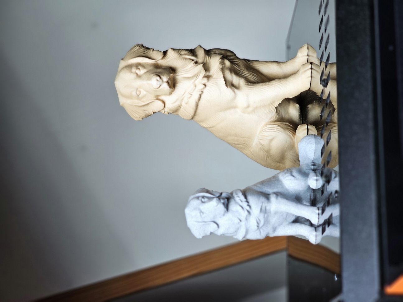 Golden Retriever — miniatura 3