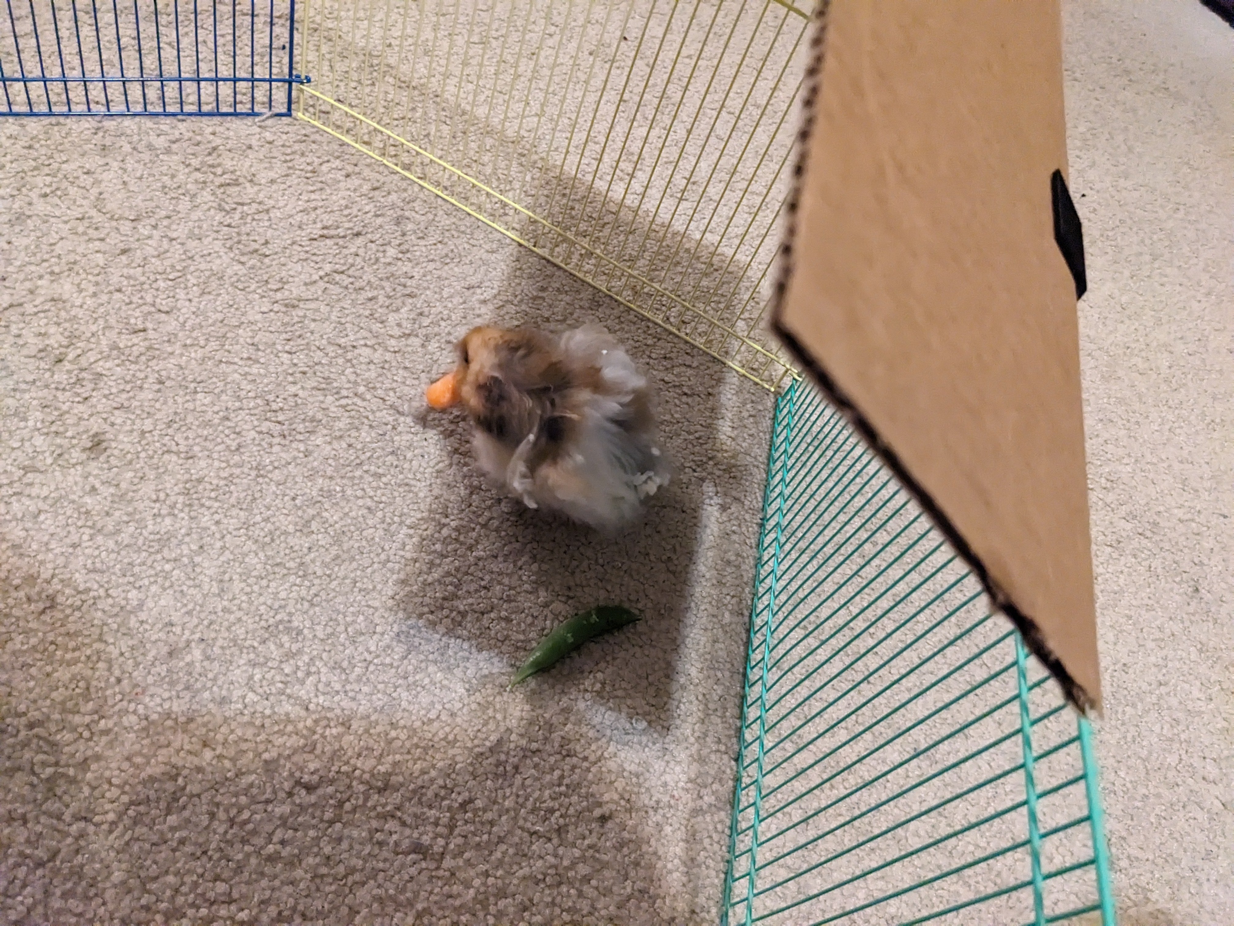 Hamster Cage Clips — miniatura 8